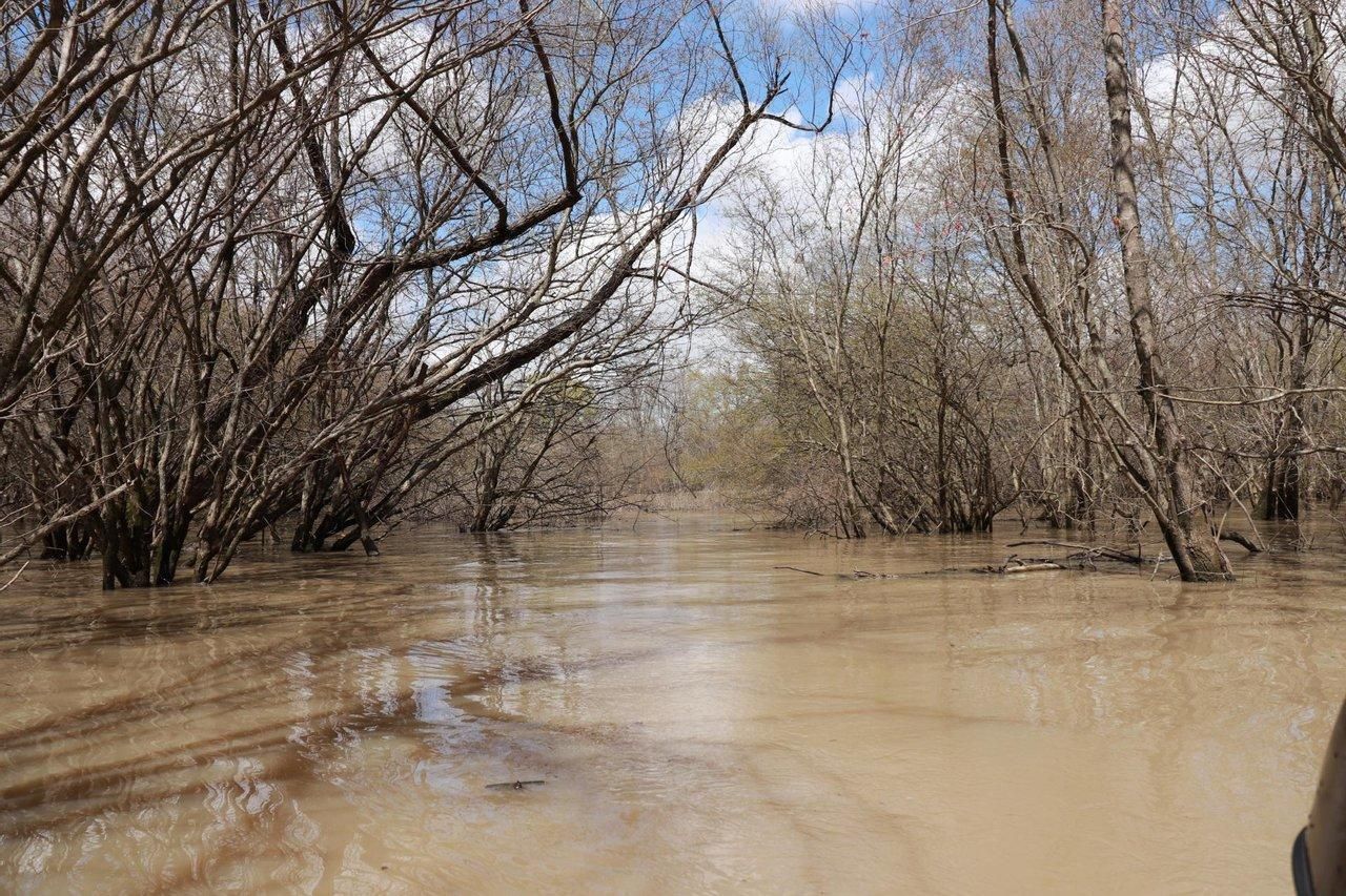 505 acres in Cherry Valley, AR, 72134 LandWatch