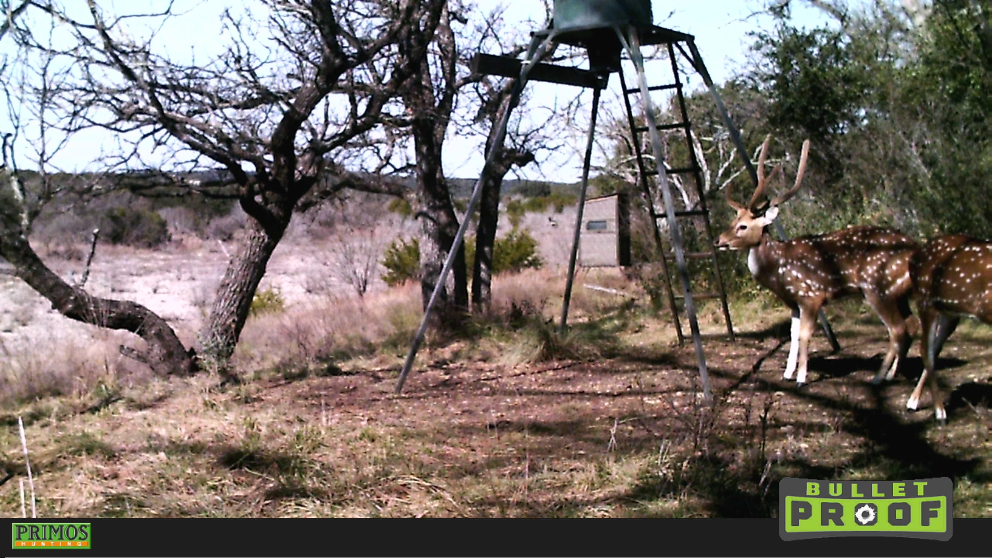 N, Rocksprings, TX 78880 LandWatch