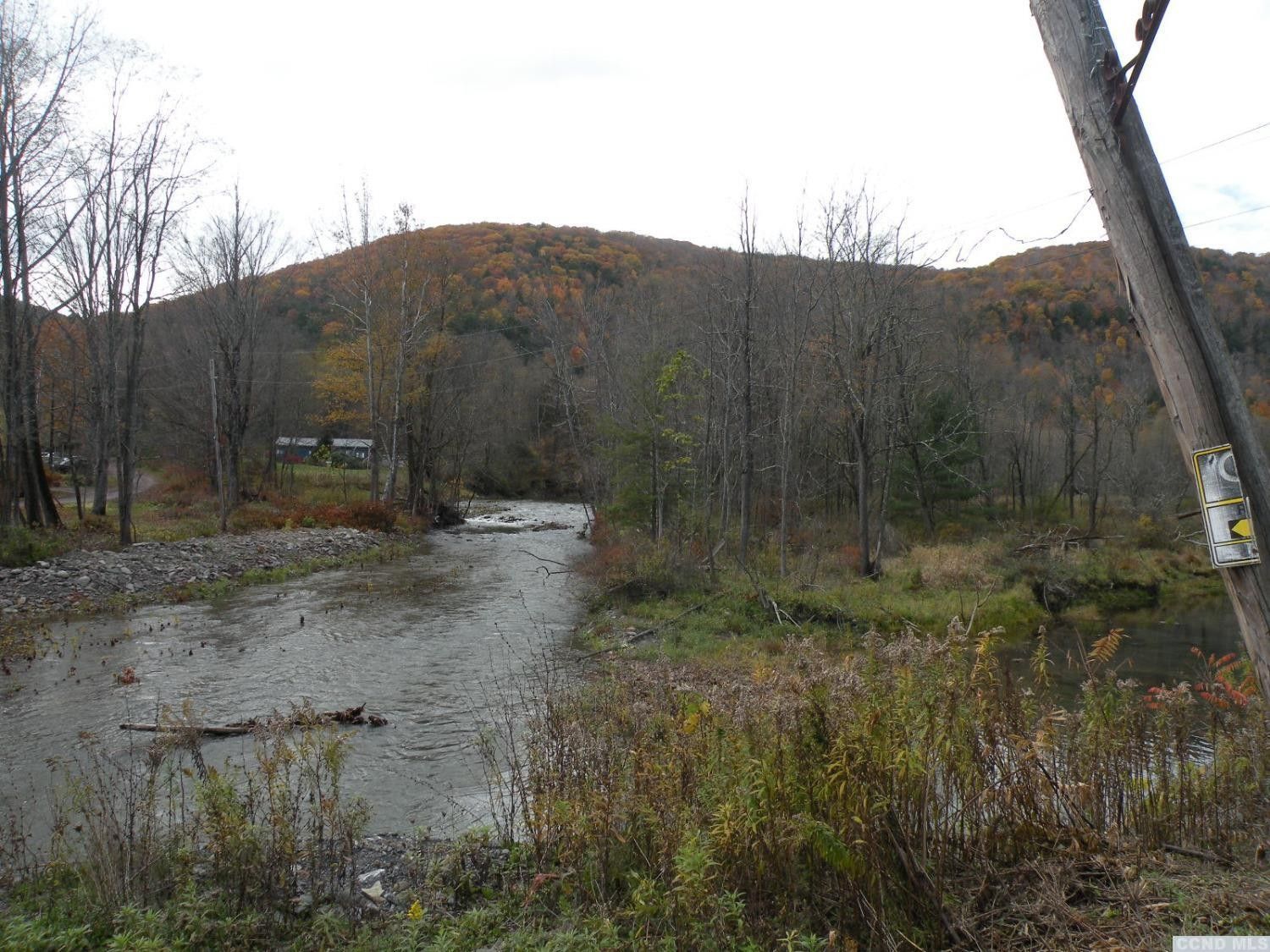 Breakabeen, Schoharie County, NY Undeveloped Land for sale Property ID