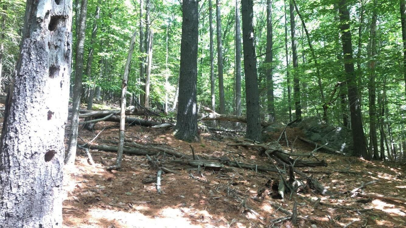 Orrington, Penobscot County, ME Undeveloped Land, Lakefront Property