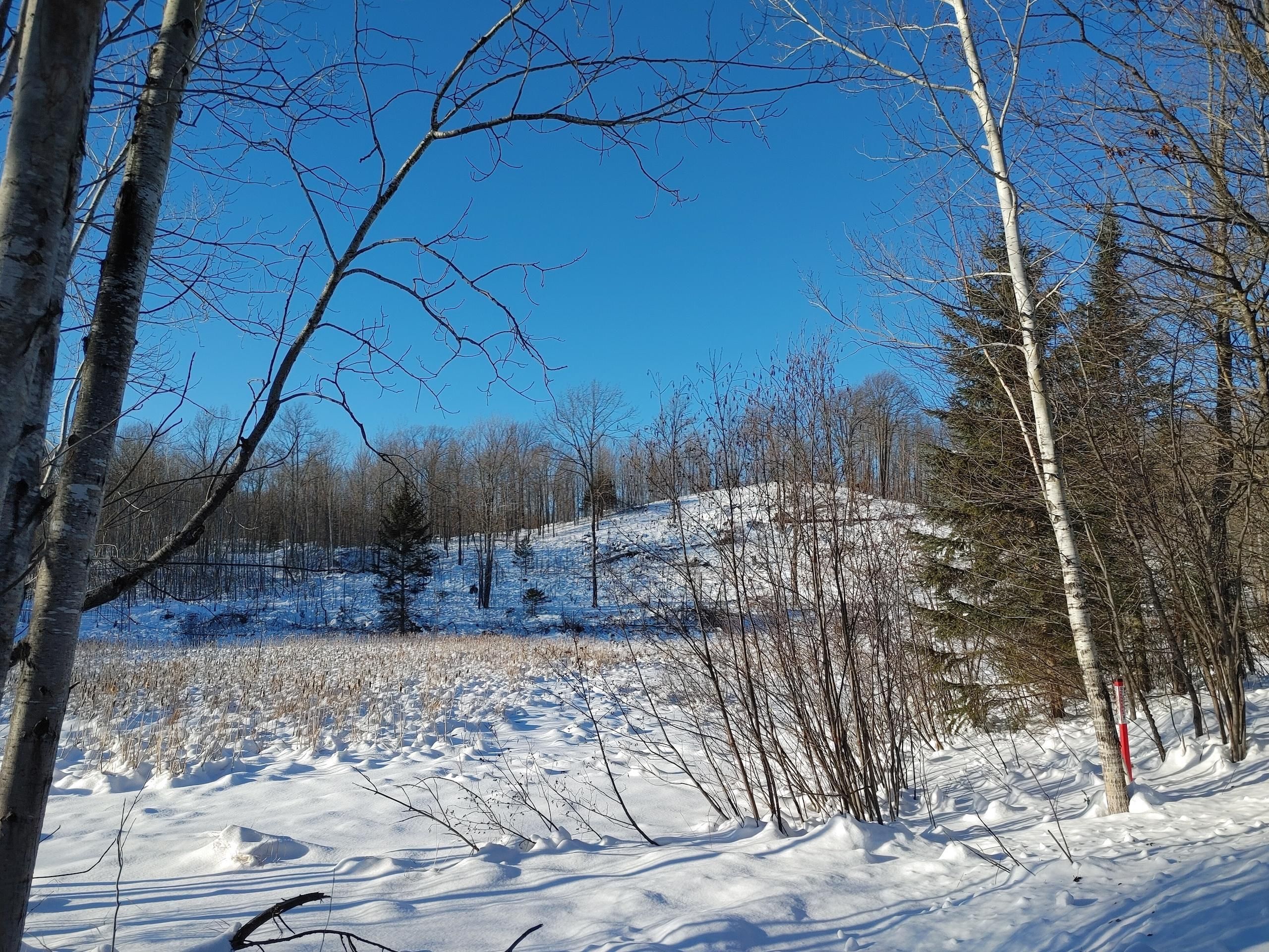 Mellen, Ashland County, WI Recreational Property, Hunting Property for