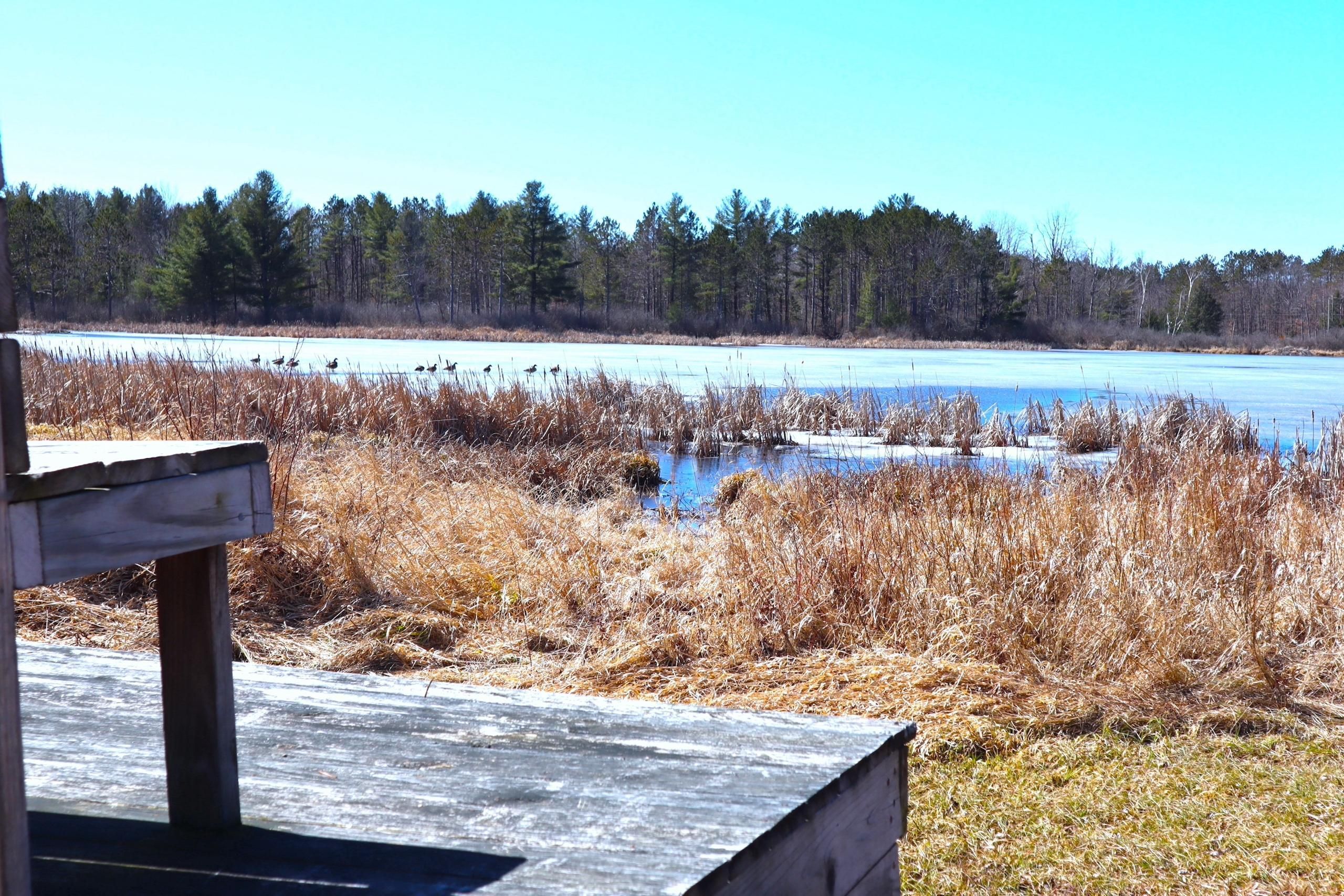 Rural Grove, Montgomery County, NY Recreational Property, Timberland