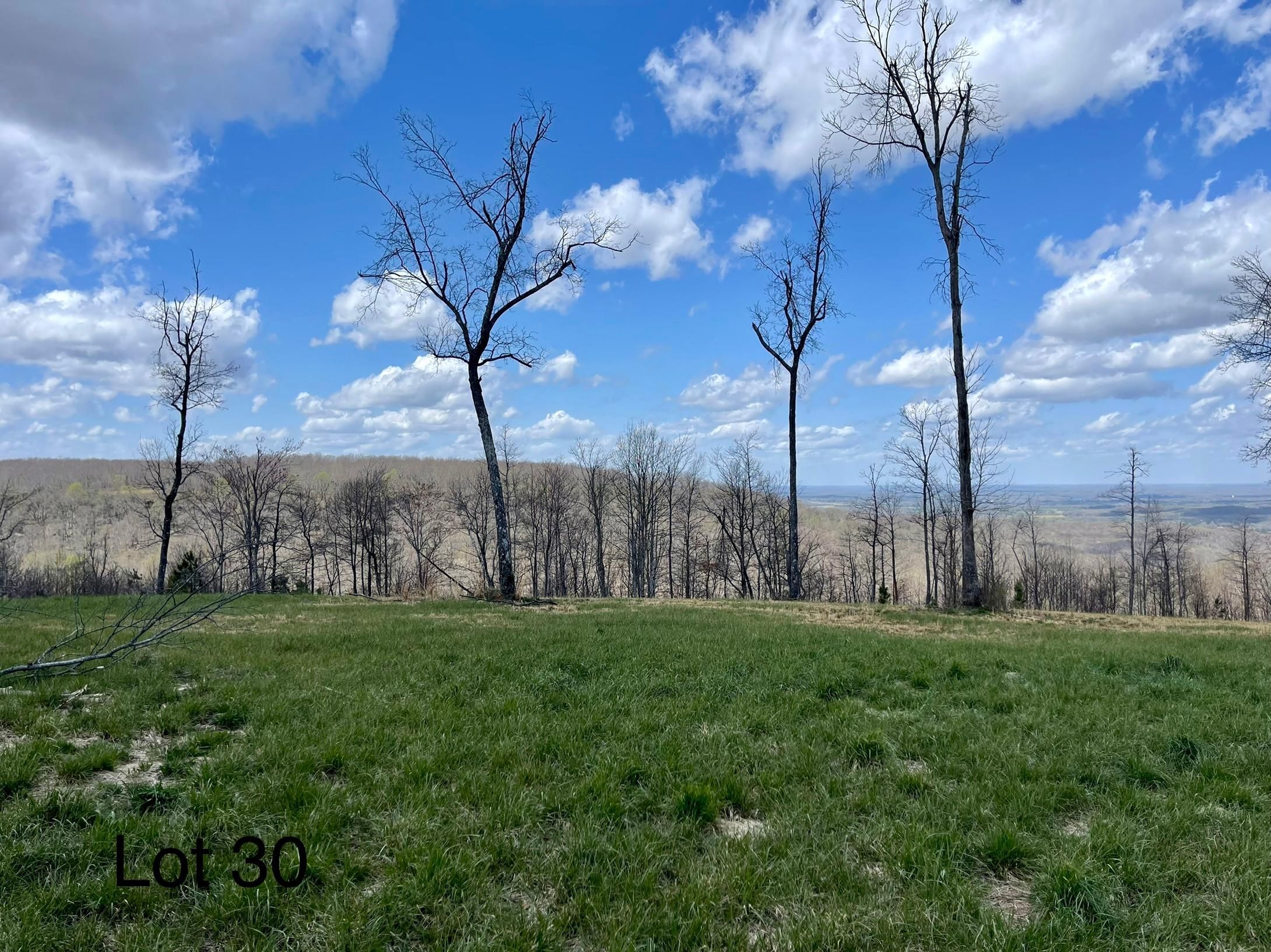 Belvidere, Franklin County, TN for sale Property ID 413217117 LandWatch