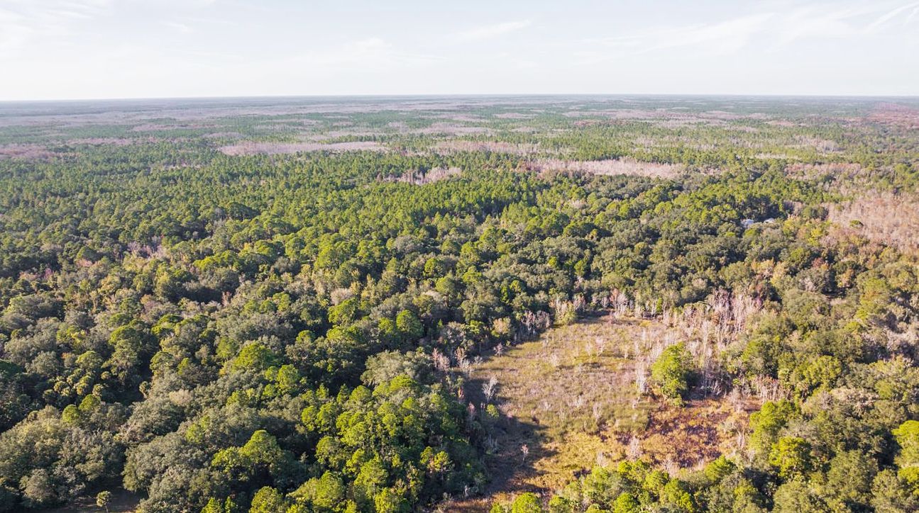 Oak Hill, Volusia County, FL Recreational Property, Undeveloped Land