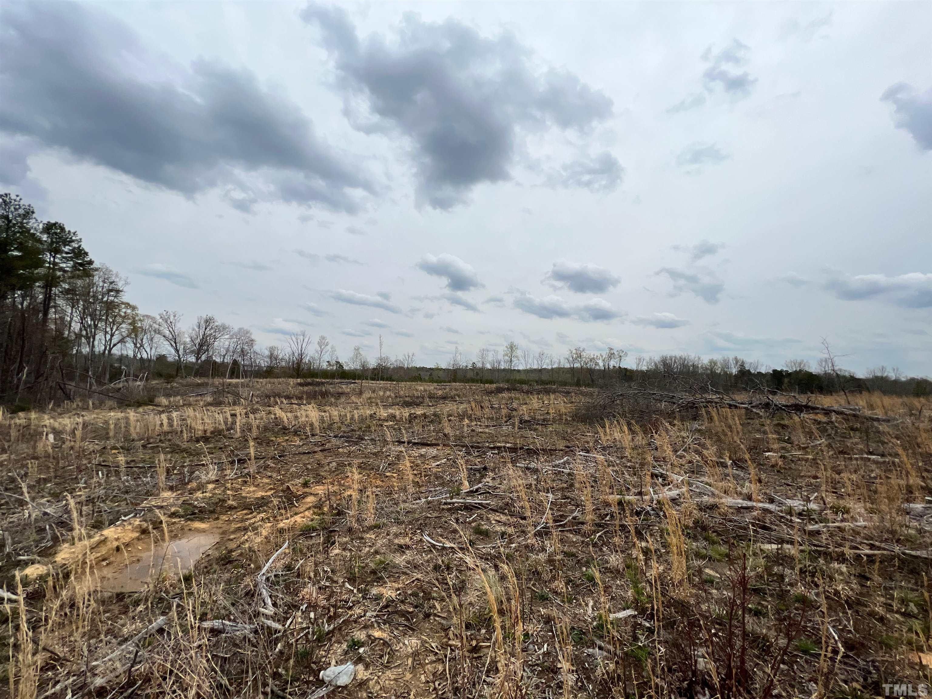 Yanceyville, Caswell County, NC Undeveloped Land for sale Property ID