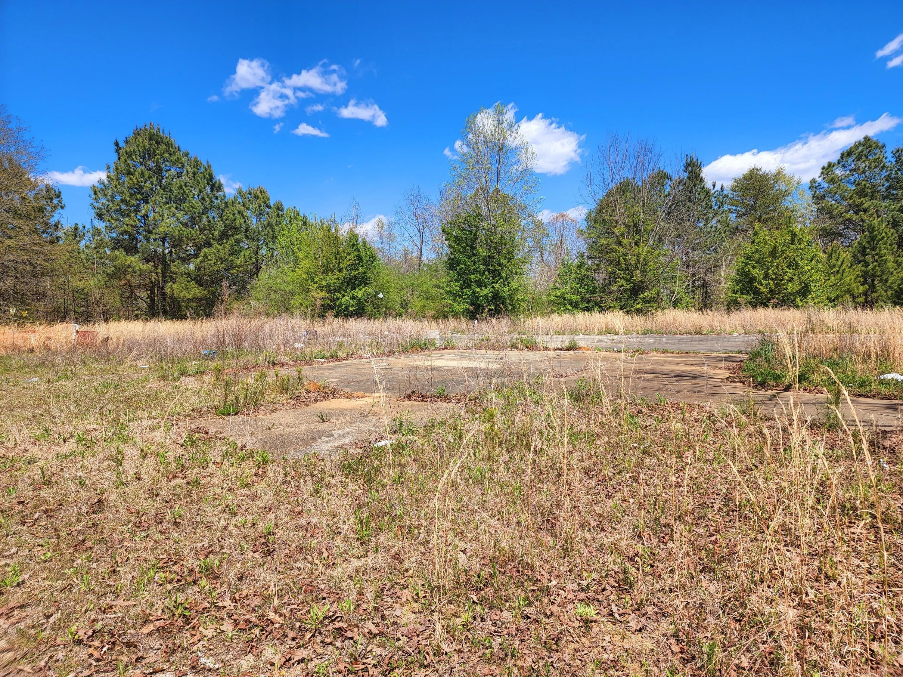 Cordova, Walker County, AL Undeveloped Land for sale Property ID