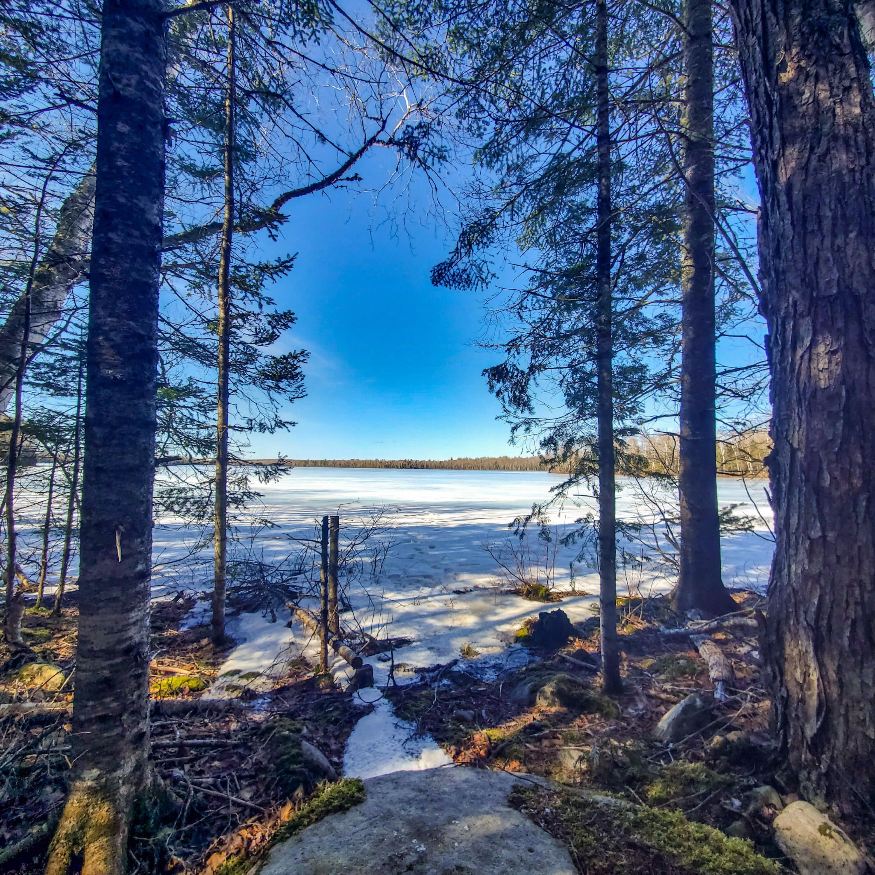 Danforth, Washington County, ME Undeveloped Land, Lakefront Property