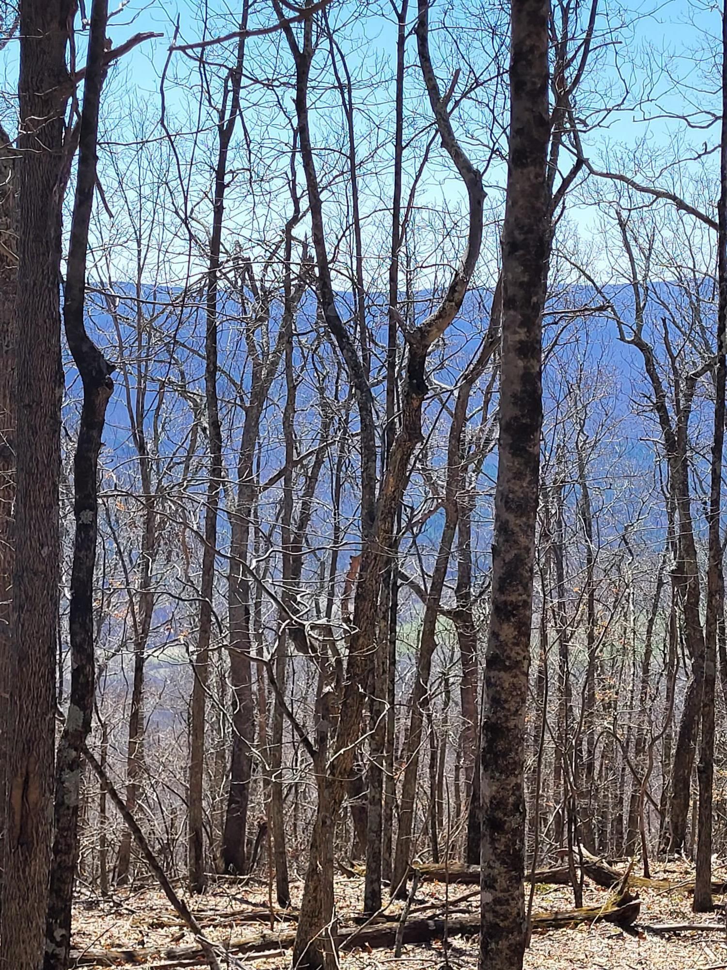 Deerpath Lane, Waiteville, WV 24984 MLS DEER PATH LandWatch
