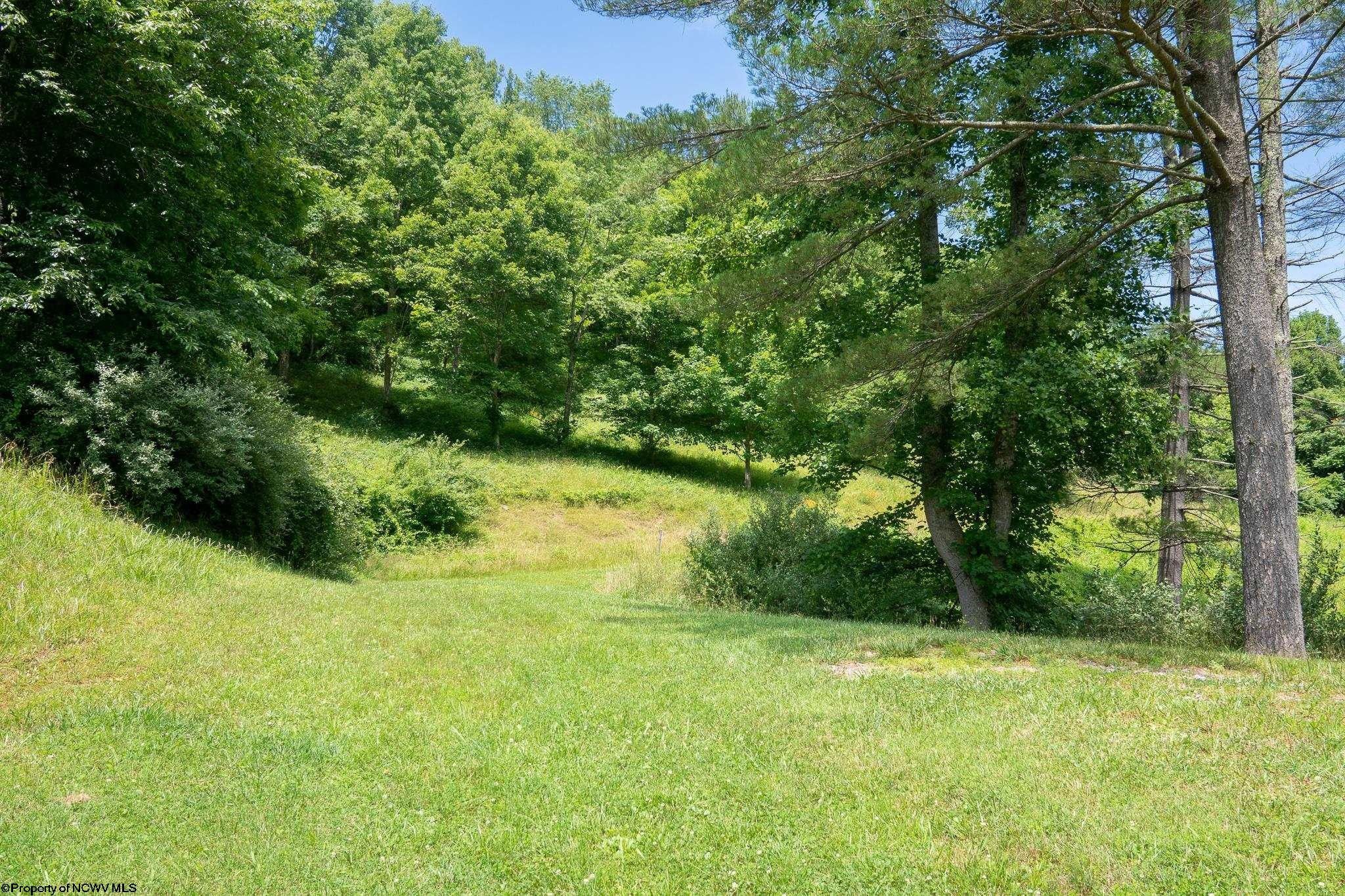 Sutton, Braxton County, WV Undeveloped Land, Lakefront Property