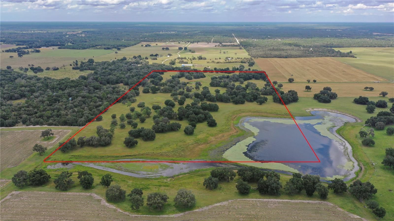 Bronson, Levy County, FL Farms and Ranches, Horse Property for sale