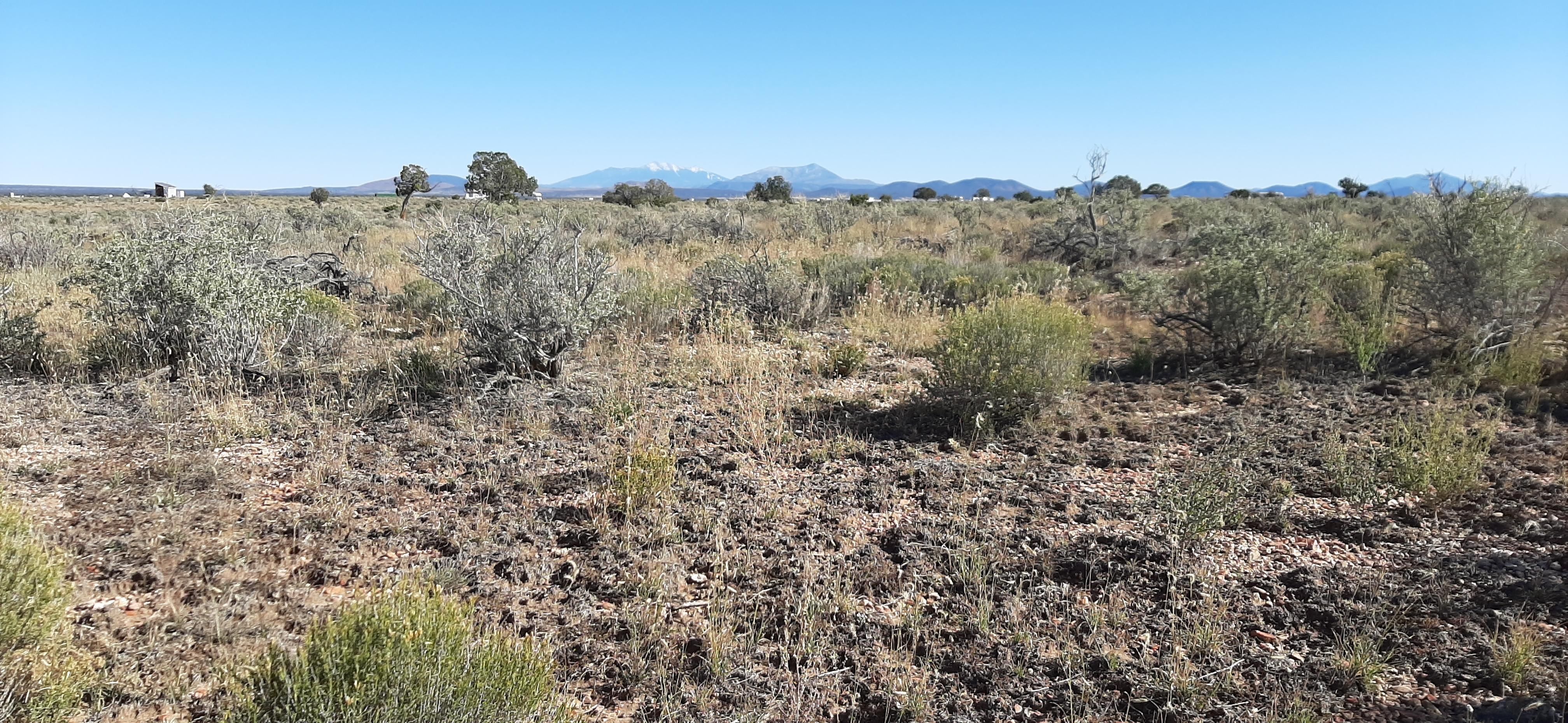 Williams, Coconino County, AZ Recreational Property, Undeveloped Land