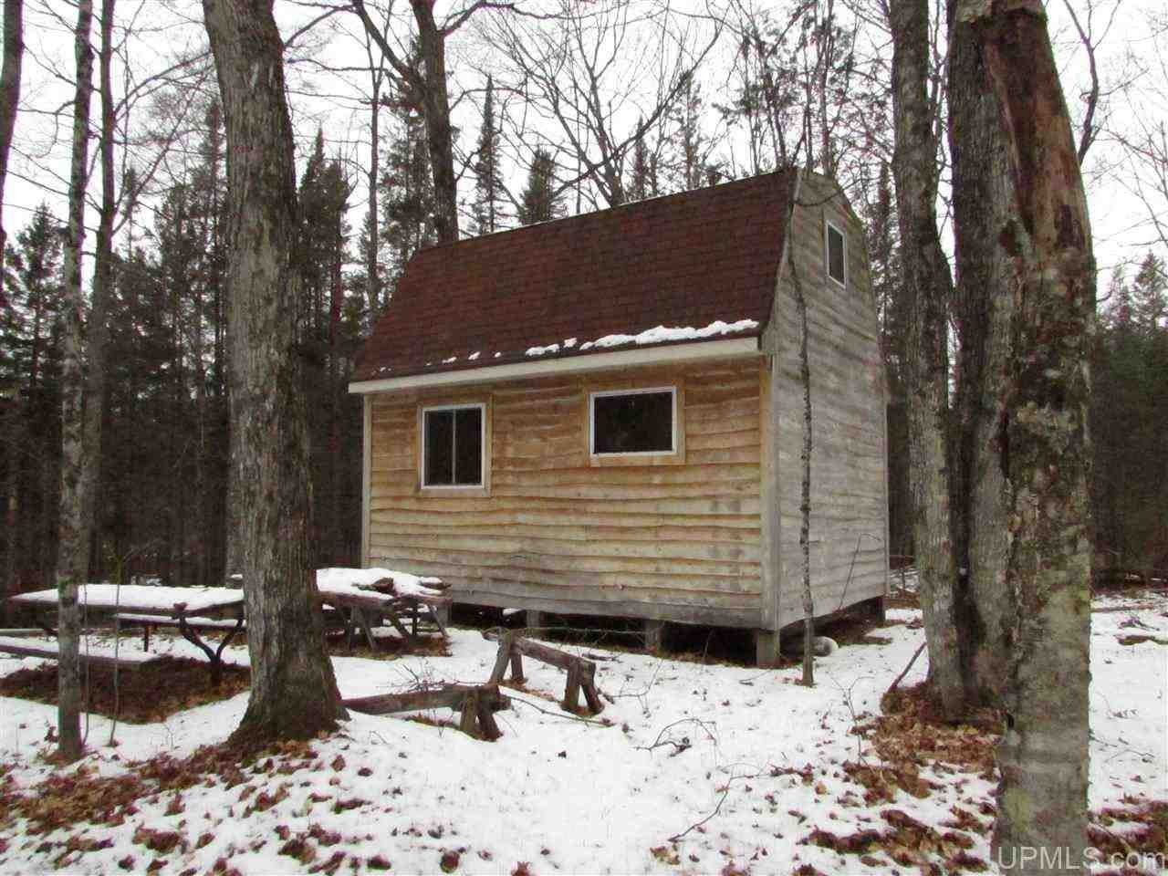 Trenary, Alger County, MI Lakefront Property, Waterfront Property