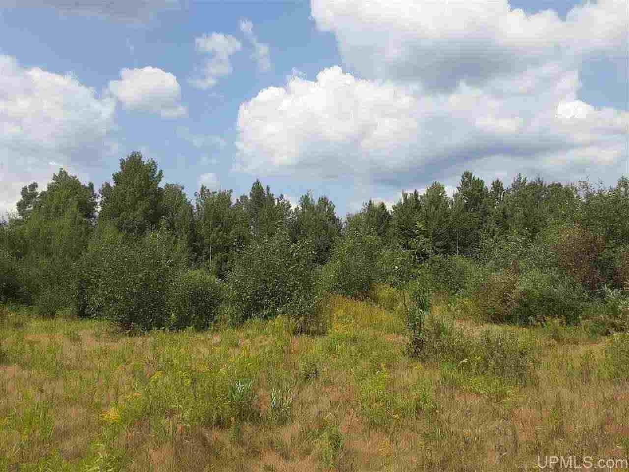 Wakefield, Gogebic County, MI Farms and Ranches for sale Property ID