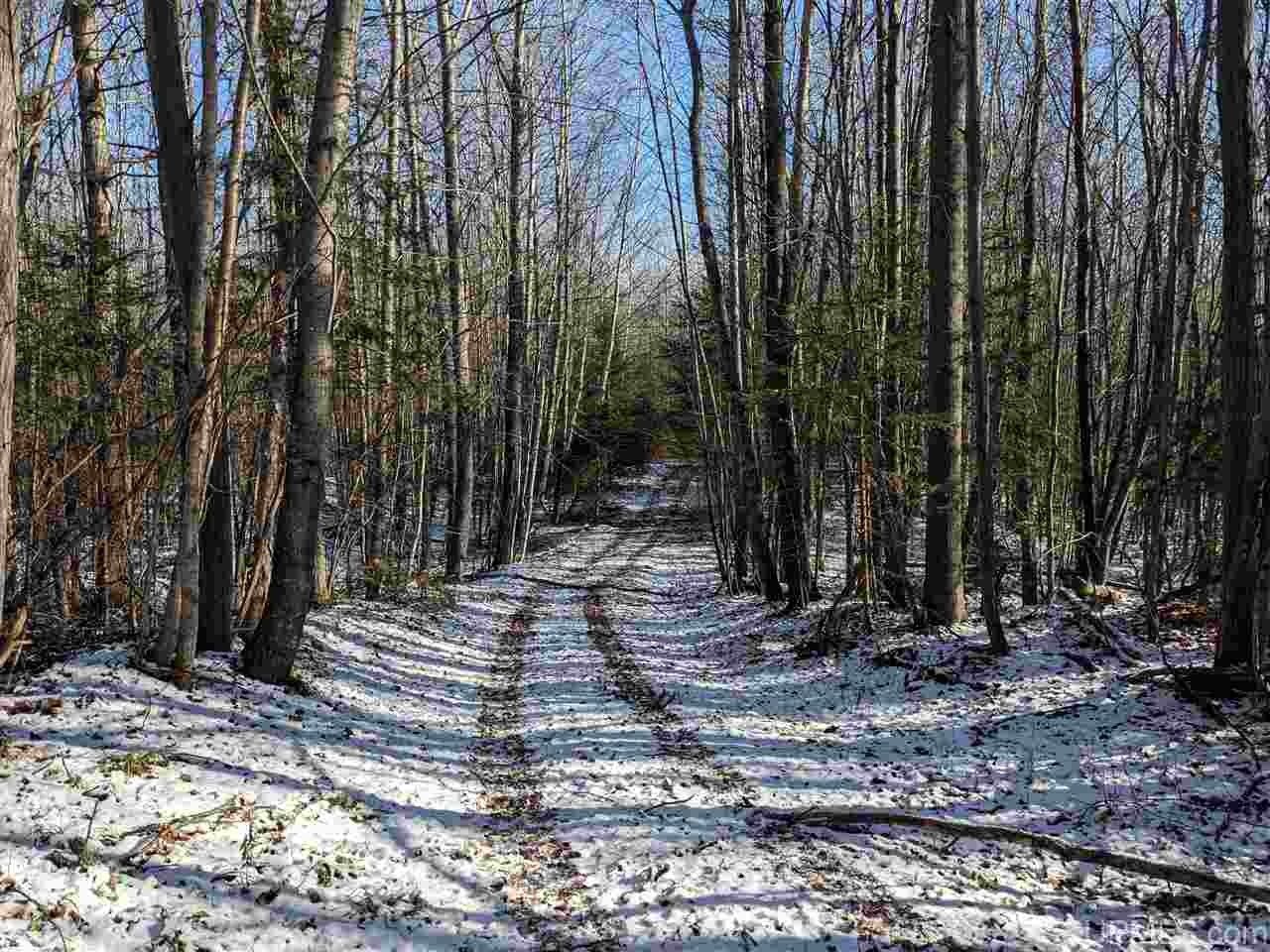 Rock, Marquette County, MI Undeveloped Land for sale Property ID