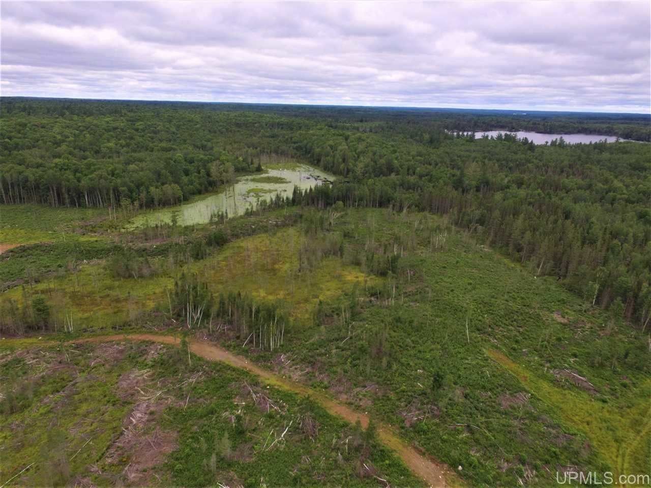Crystal Falls, Iron County, MI Undeveloped Land, Lakefront Property