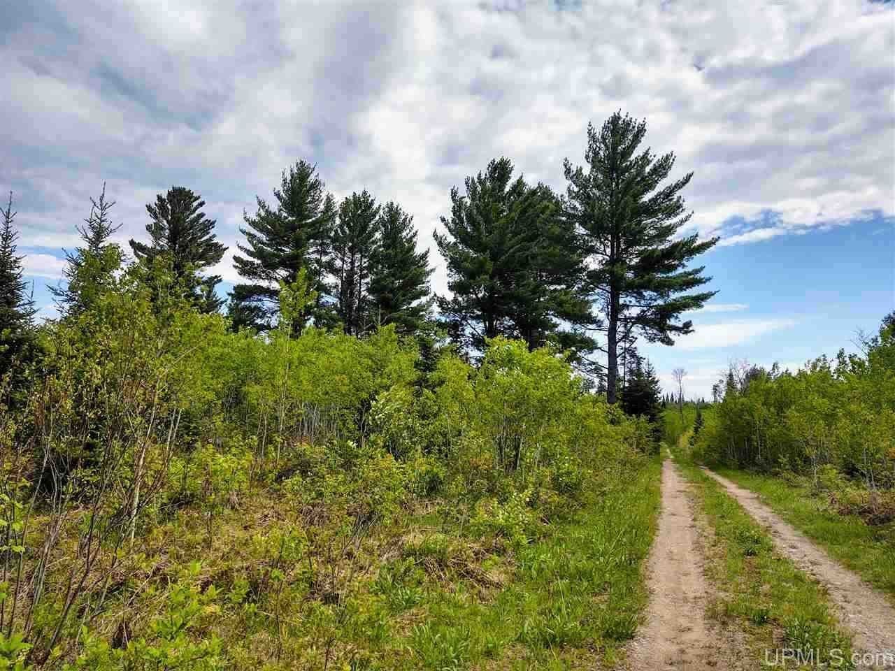 Crystal Falls, Iron County, MI Undeveloped Land for sale Property ID