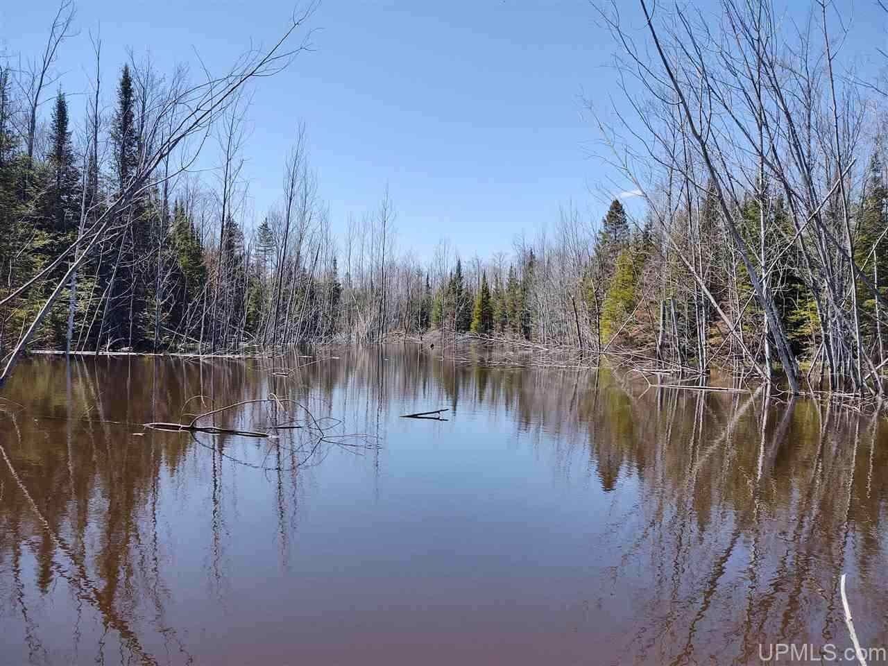 Ontonagon, Ontonagon County, MI Undeveloped Land for sale Property ID