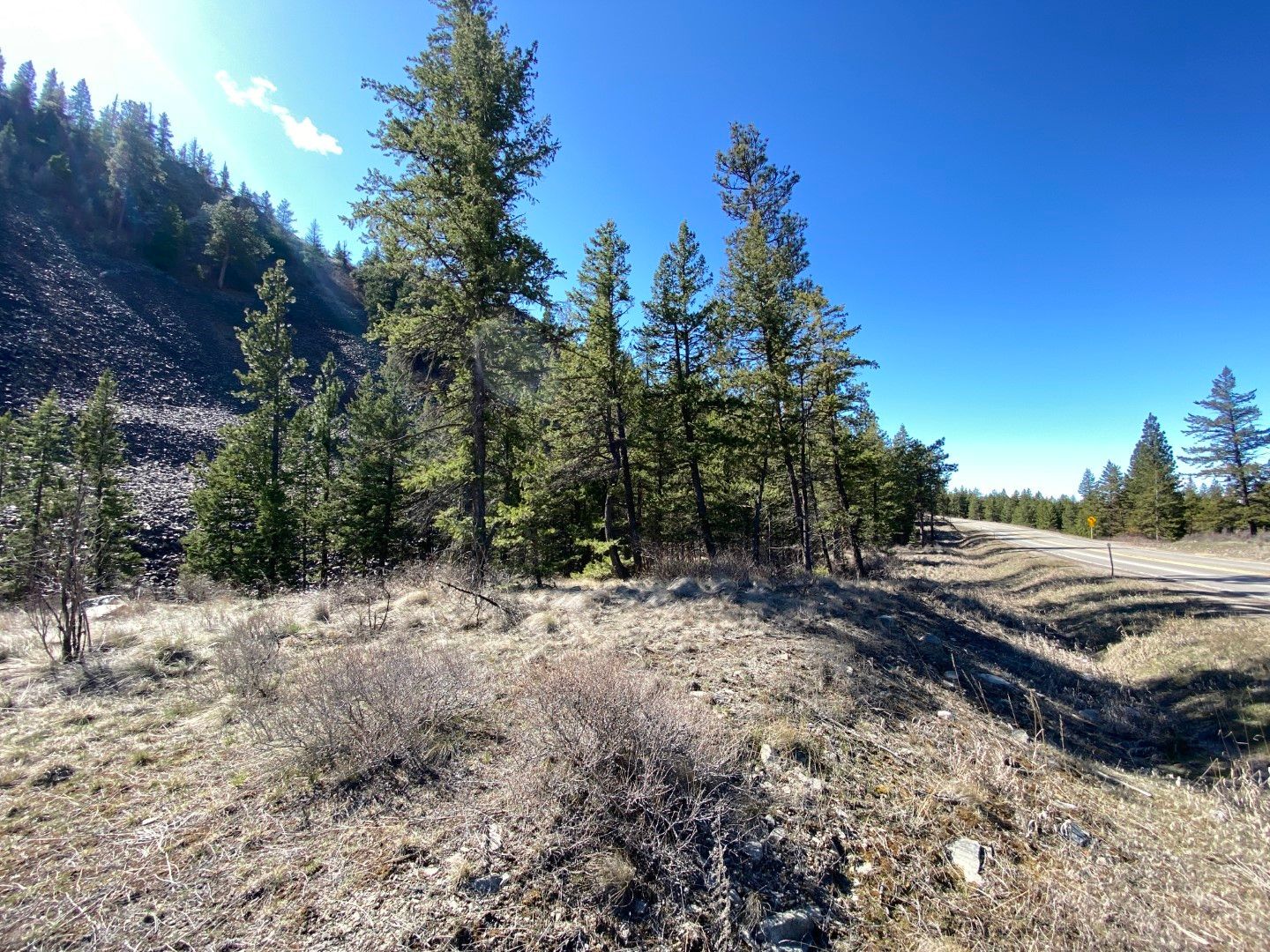 Plains, Sanders County, MT Undeveloped Land for sale Property ID