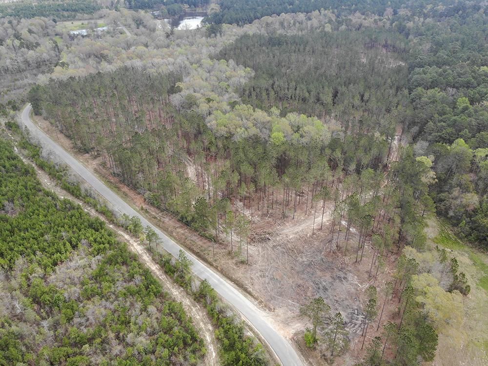 Ovett, Jones County, MS Recreational Property, Timberland Property for