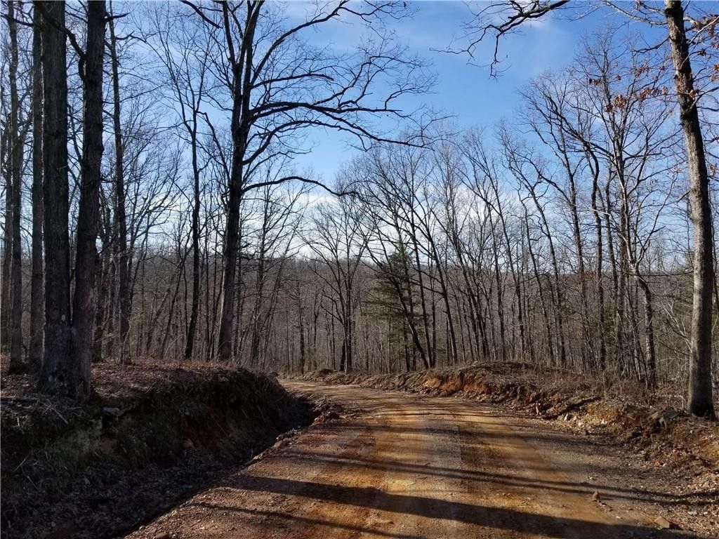 Witter, Madison County, AR Undeveloped Land for sale Property ID