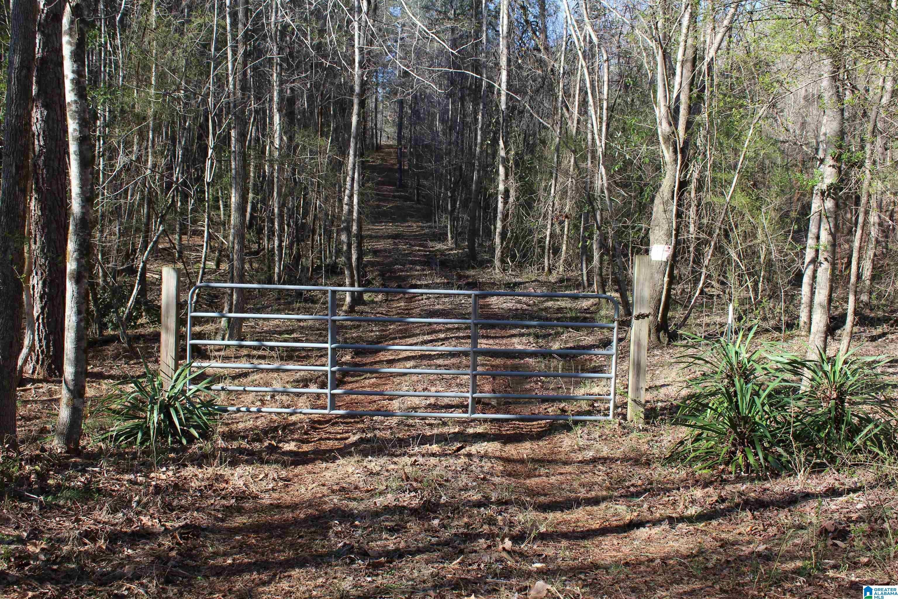 Ashland, Clay County, AL Undeveloped Land for sale Property ID 413229778 LandWatch