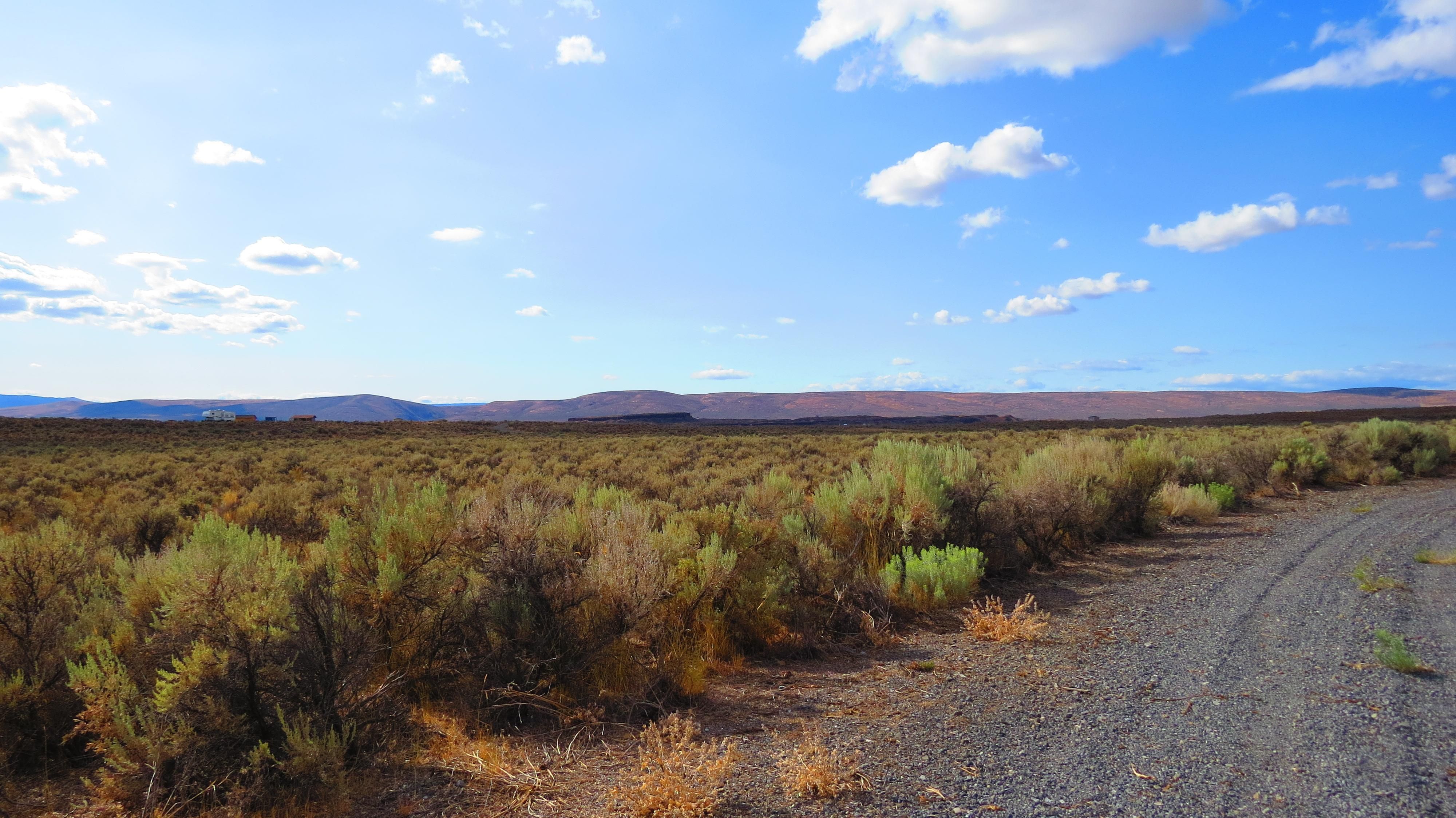 Coyote Ct, Palisades, WA 98858 LandWatch