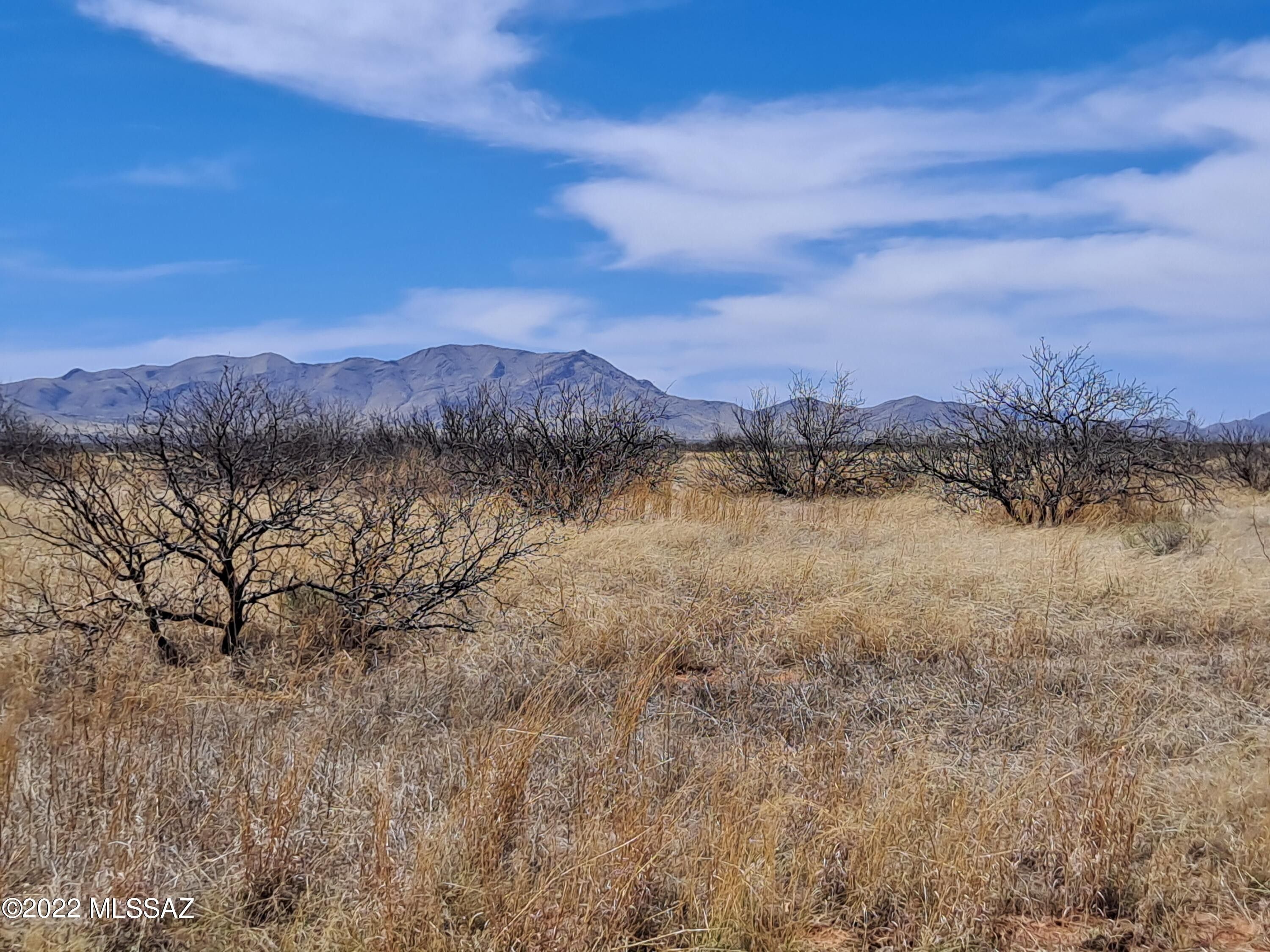 Pearce, Cochise County, AZ Undeveloped Land, Homesites for sale