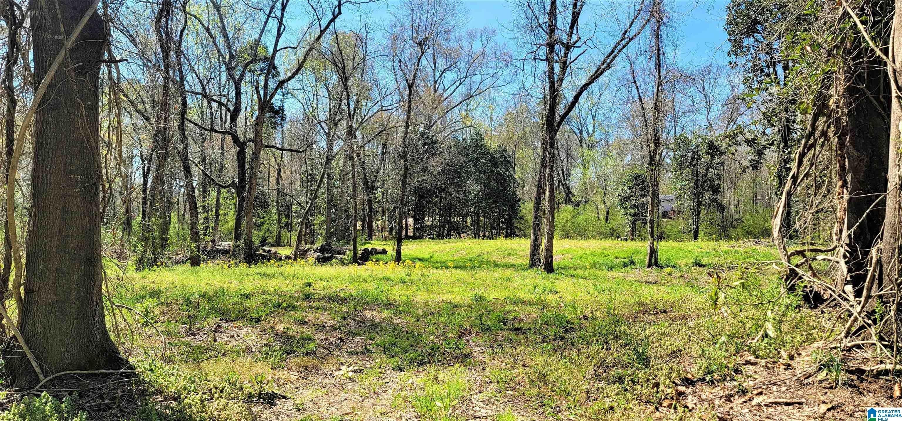 Heflin, Cleburne County, AL Undeveloped Land, Homesites for sale Property ID 413231840 LandWatch