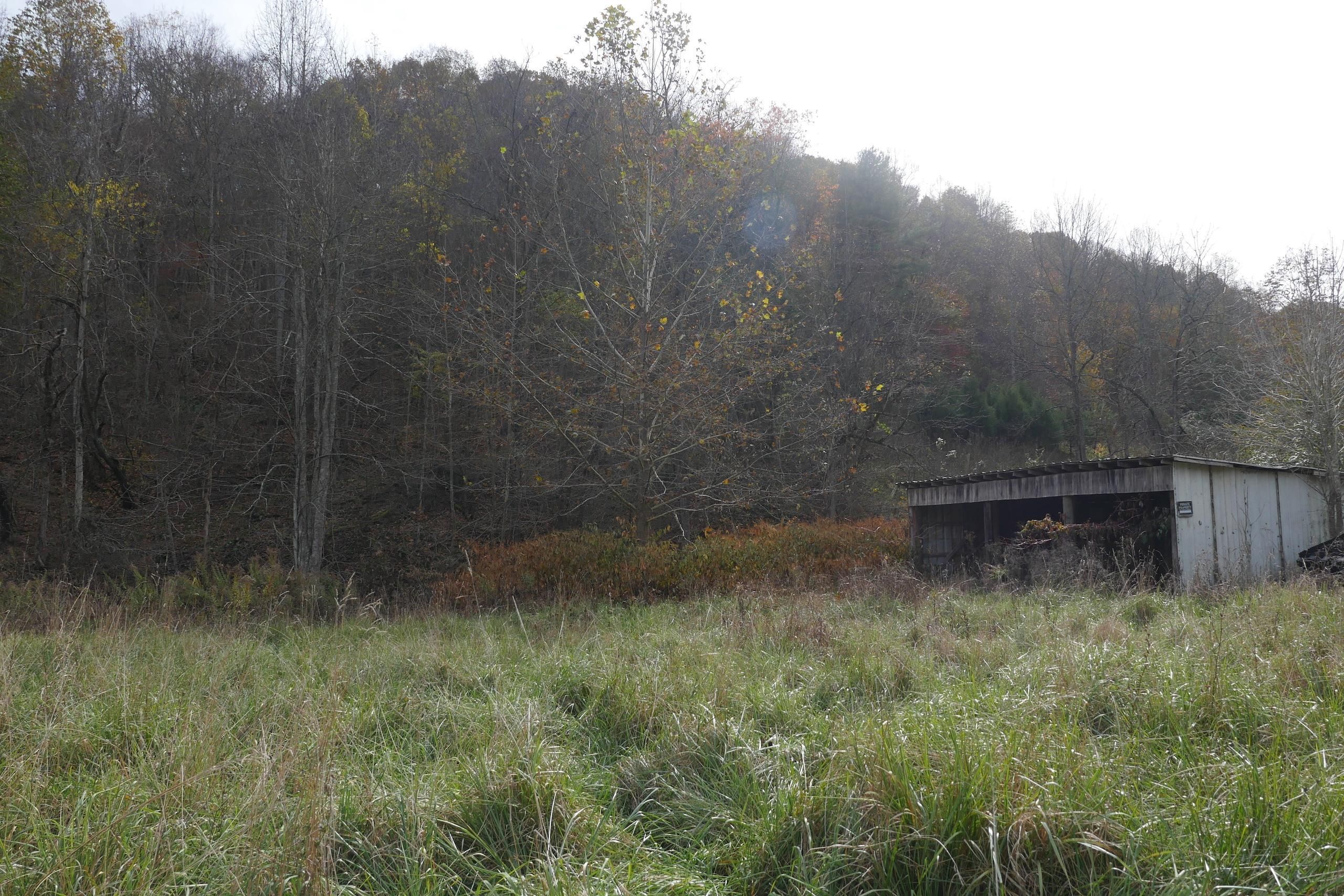 Bristol, Washington County, VA Recreational Property, Timberland