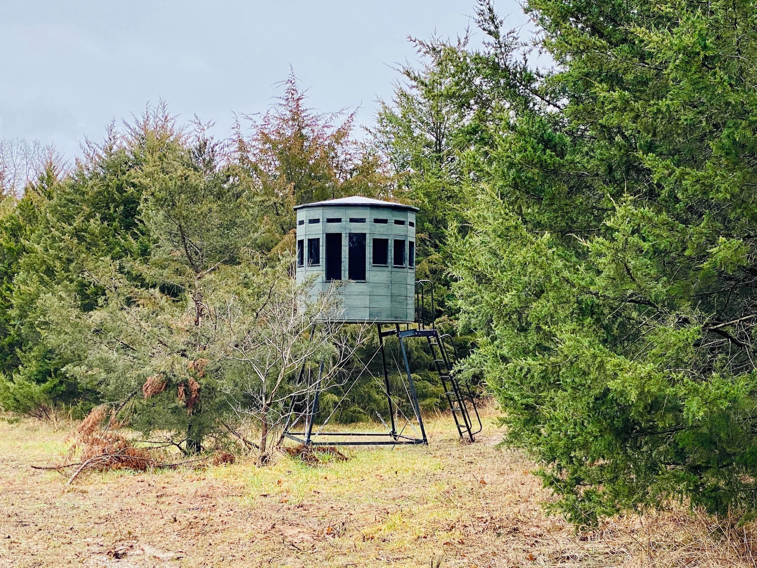 Collins, Saint Clair County, MO Recreational Property, Timberland