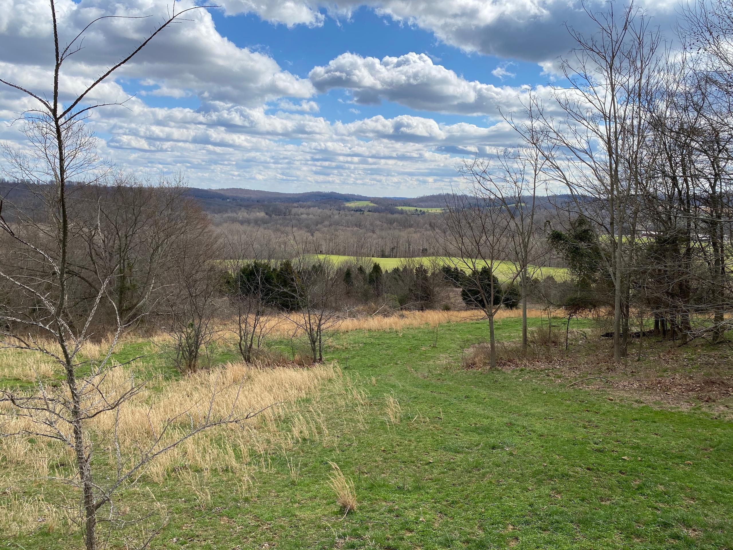 Bowling Green, Warren County, KY Recreational Property, Timberland