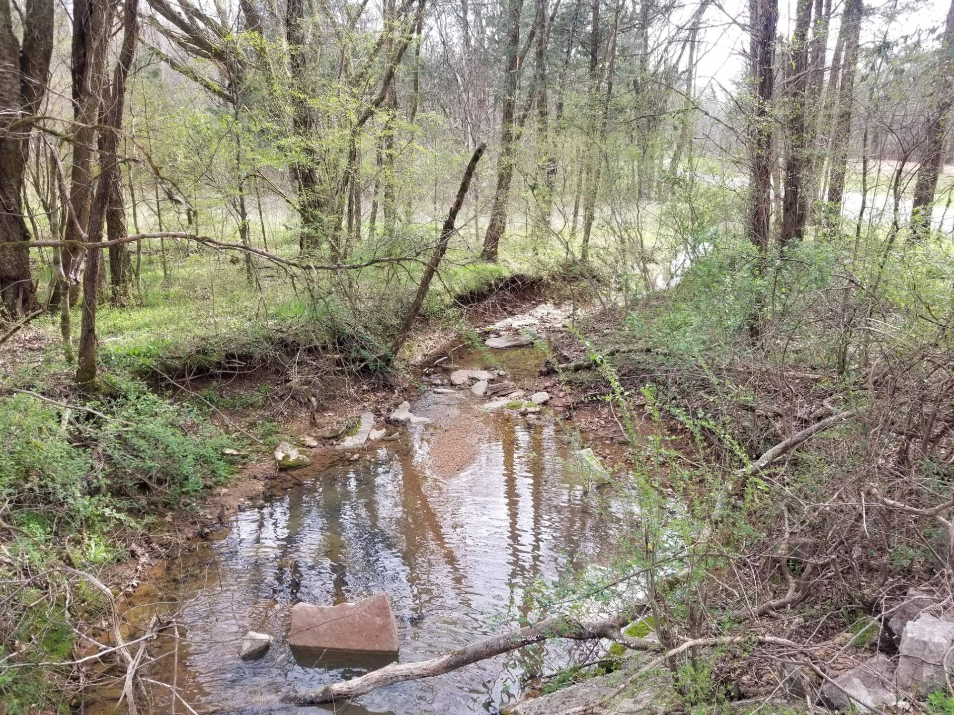 Clifton, Wayne County, TN Undeveloped Land, Lakefront Property