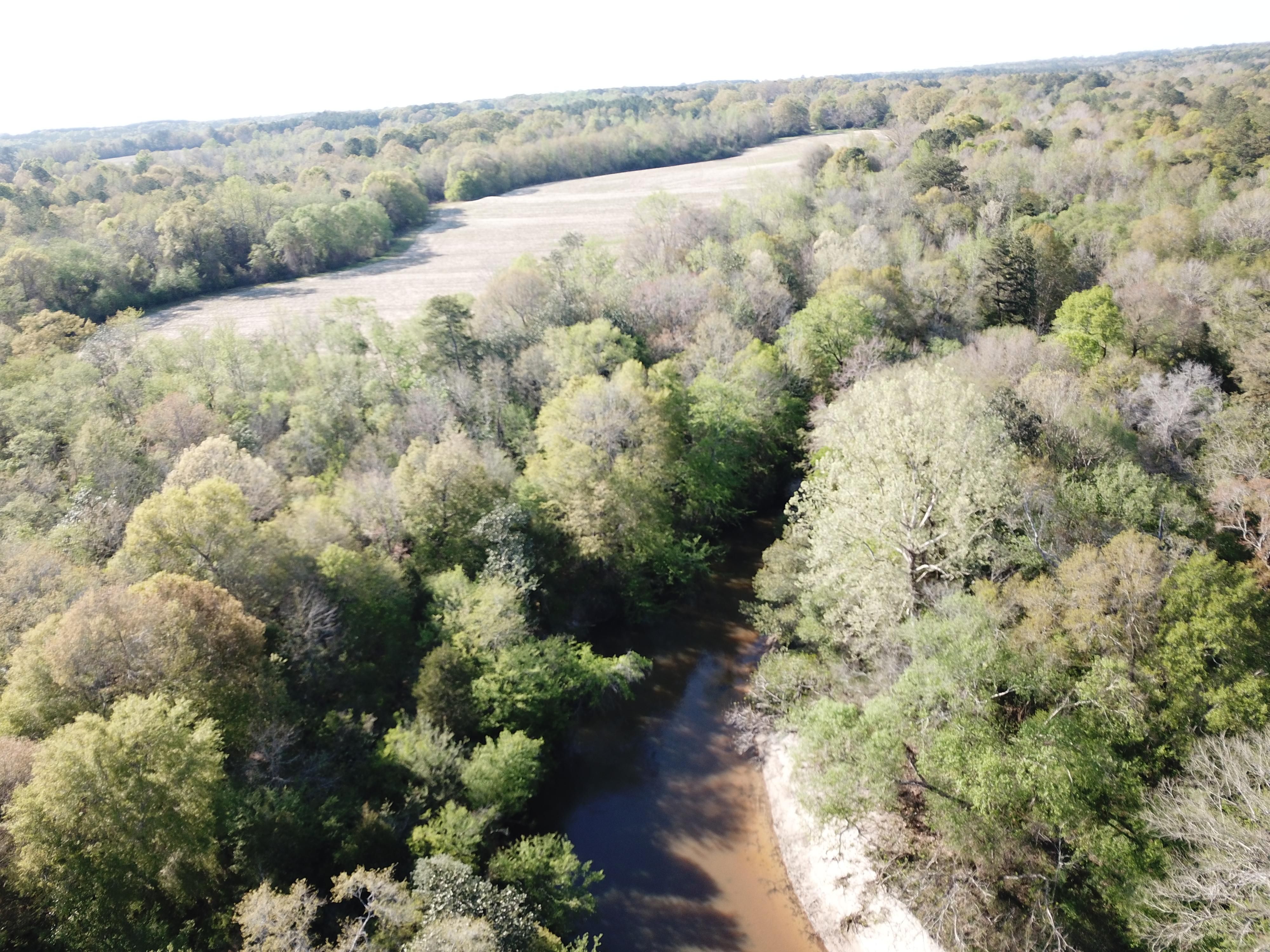 109 acres in Victoria, AL, 36346 MLS Whitewater Creek Farm 109 Ac