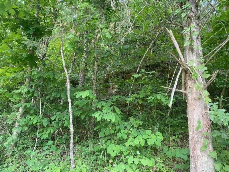 Newburg, Phelps County, MO Undeveloped Land for sale Property ID