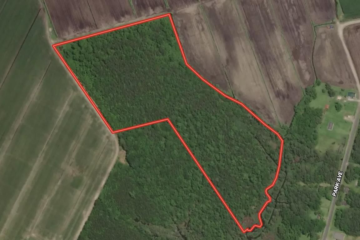 Bayboro, Pamlico County, NC Recreational Property, Timberland Property