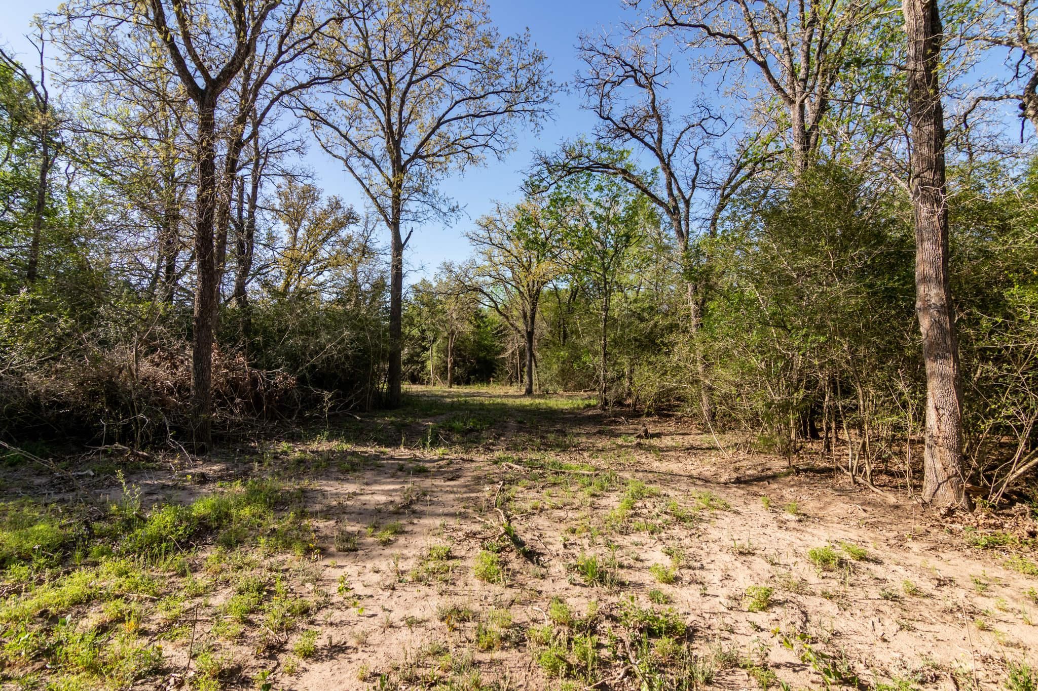 Waelder, Fayette County, TX Farms and Ranches, Undeveloped Land for
