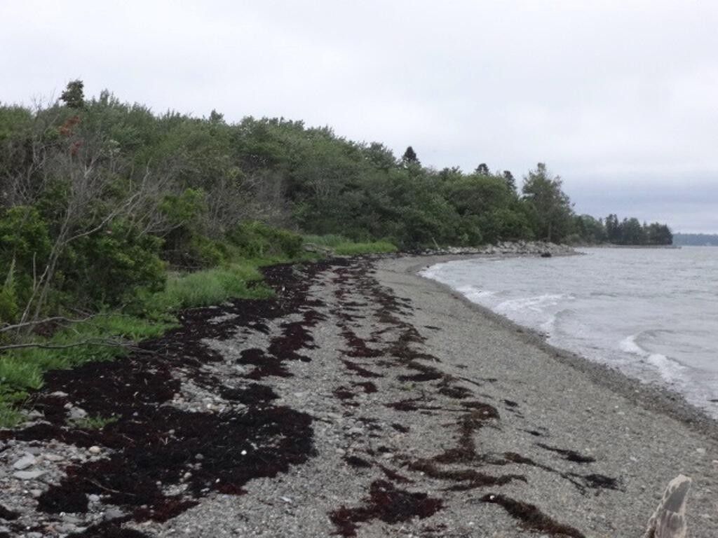Lamoine, Hancock County, ME Undeveloped Land, Lakefront Property