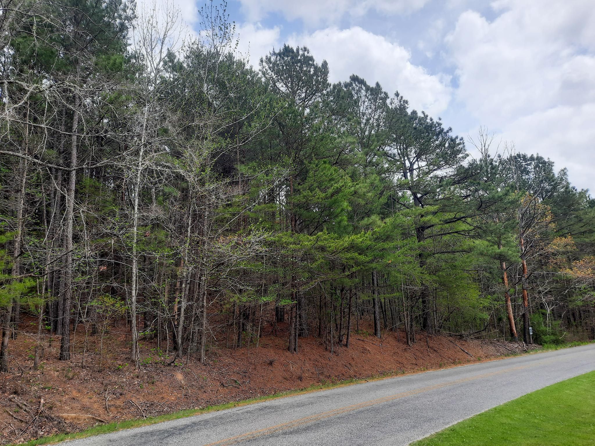 Carbon Hill, Walker County, AL Recreational Property, Undeveloped Land