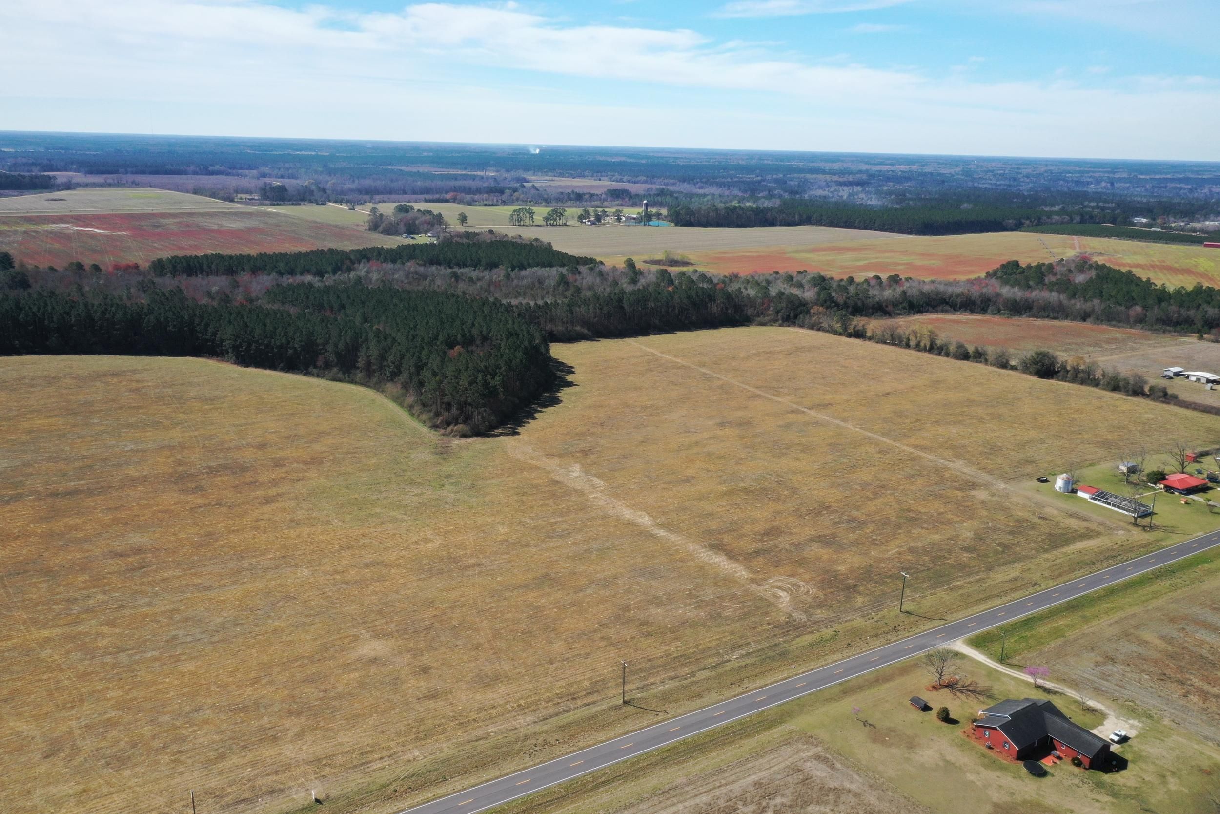 Altamaha School Rd, Baxley, GA 31513 LandWatch