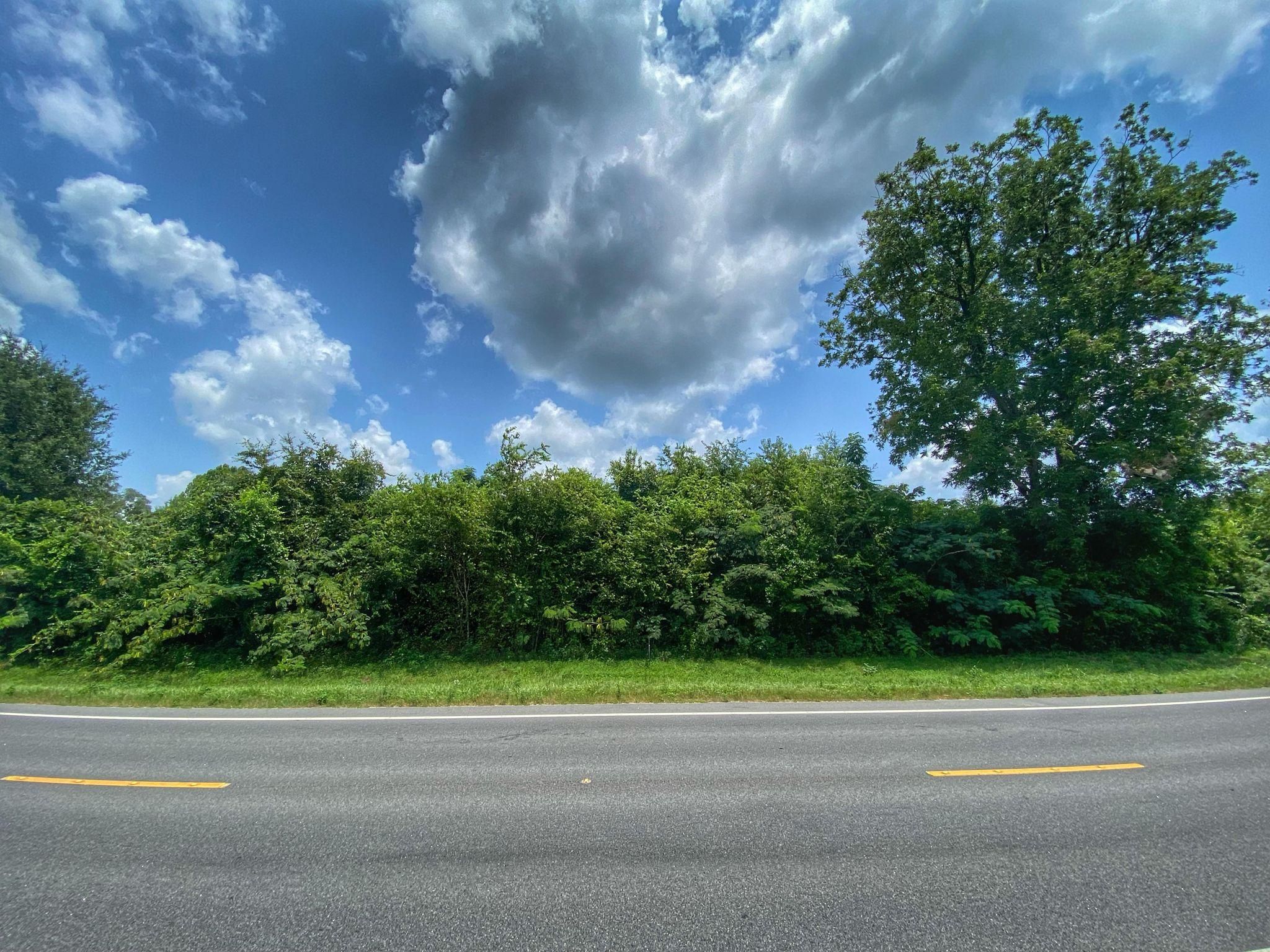 Trenton, Gilchrist County, FL for sale Property ID 413242575 LandWatch