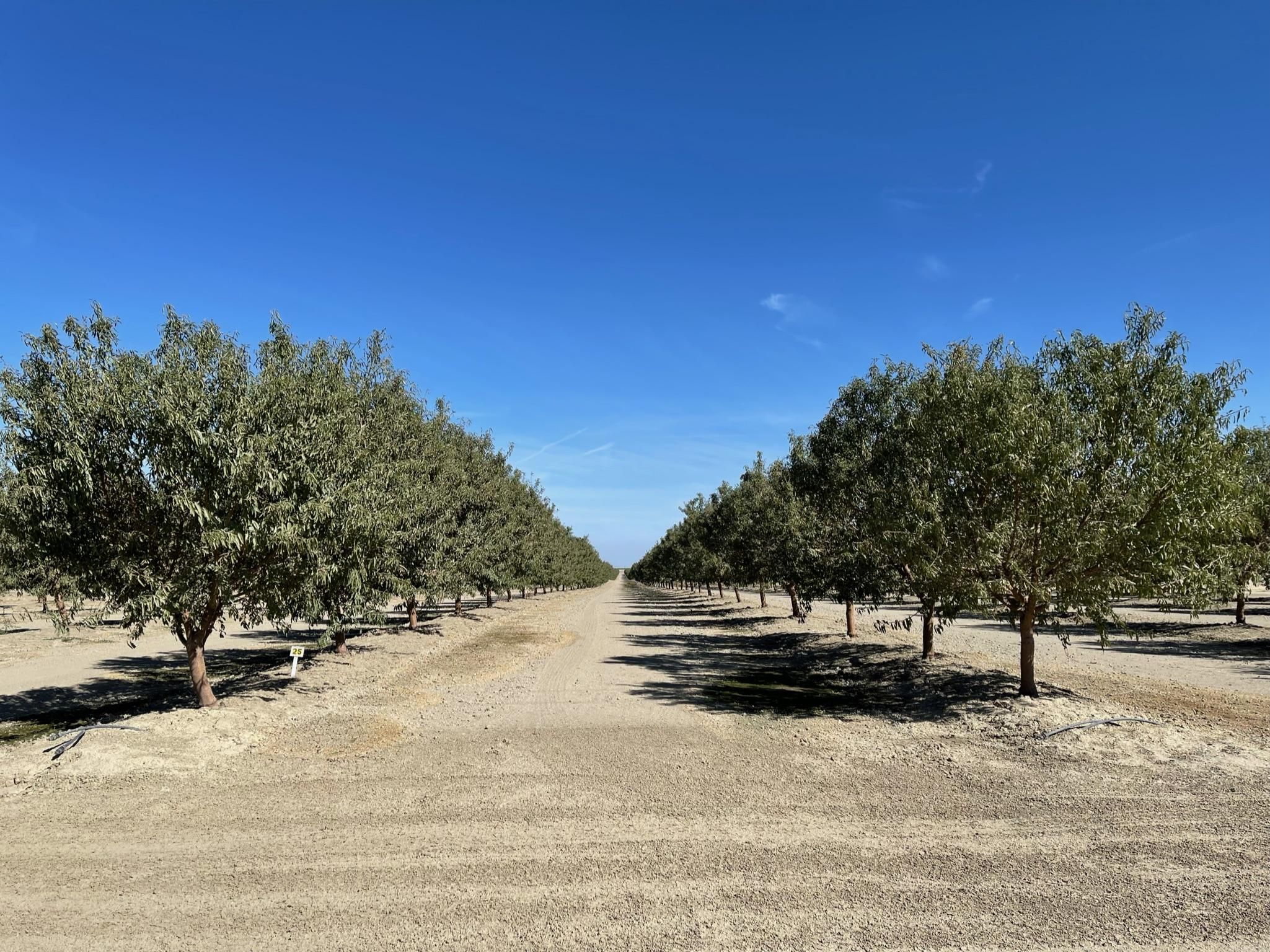 SW of Mendota, Mendota, CA 93640 LandWatch