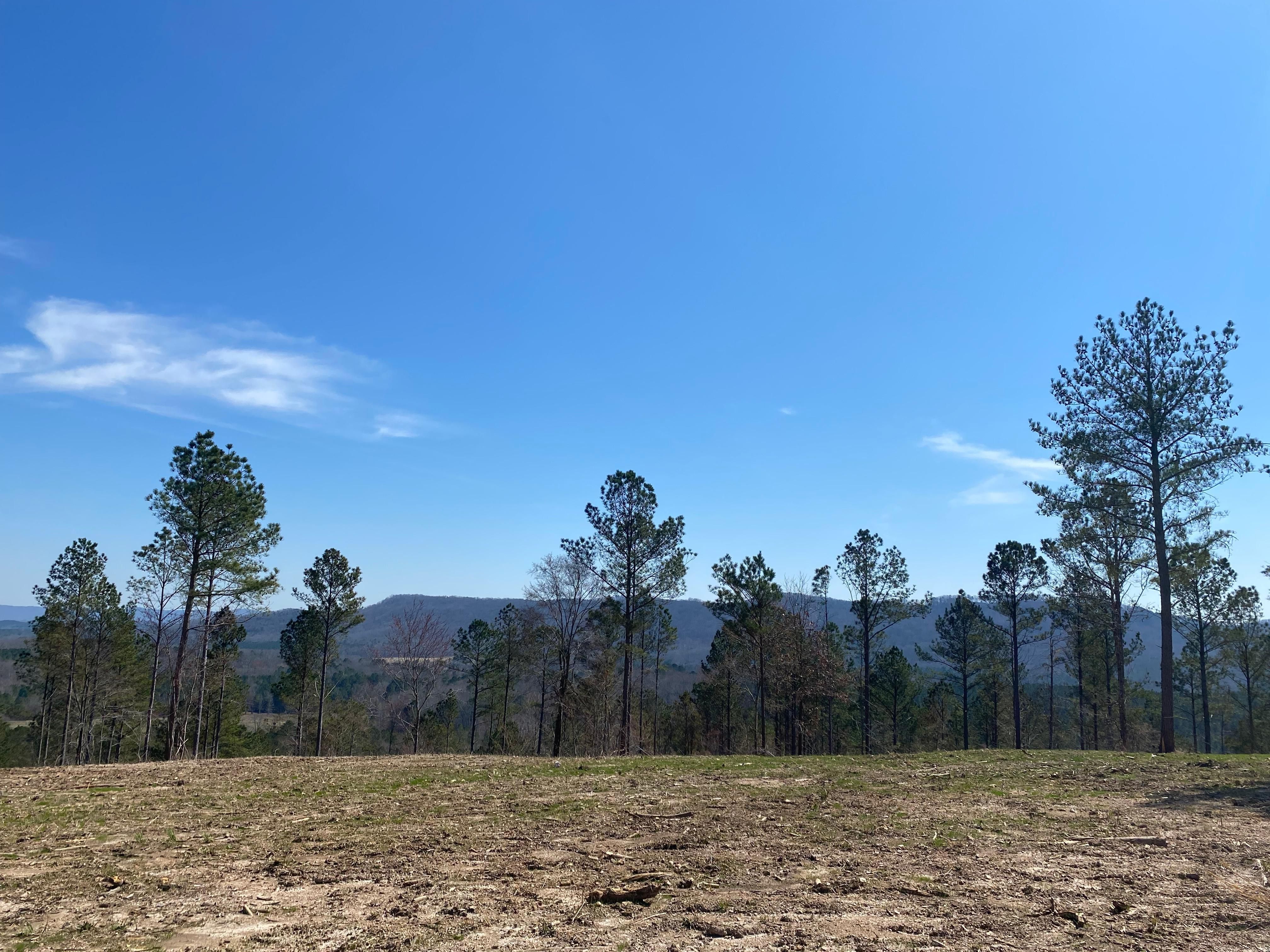 Josh Ward Road, Lyerly, GA 30730 MLS RBSTb LandWatch