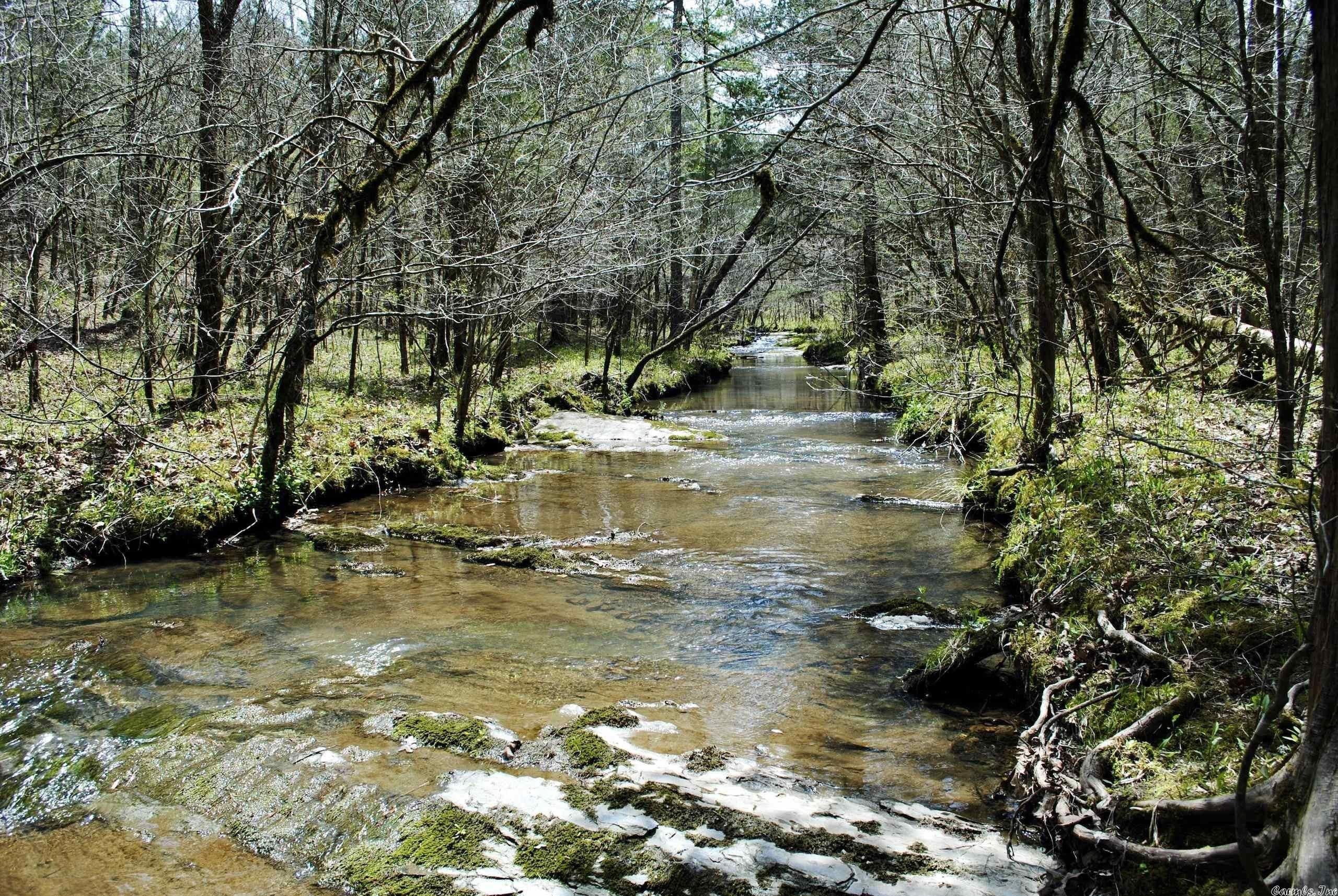 Norman, Montgomery County, AR Undeveloped Land for sale Property ID