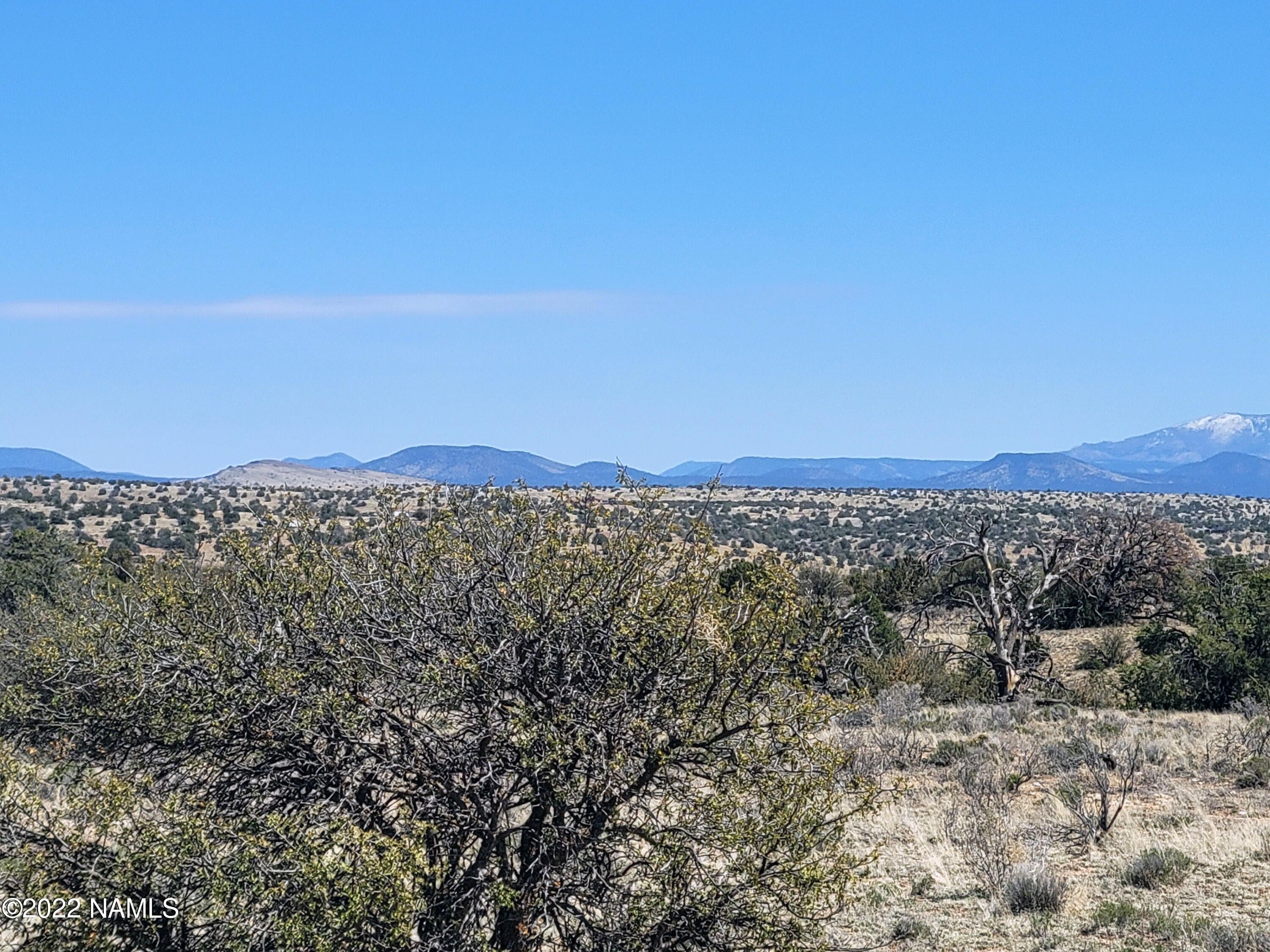 Williams, Coconino County, AZ Undeveloped Land for sale Property ID