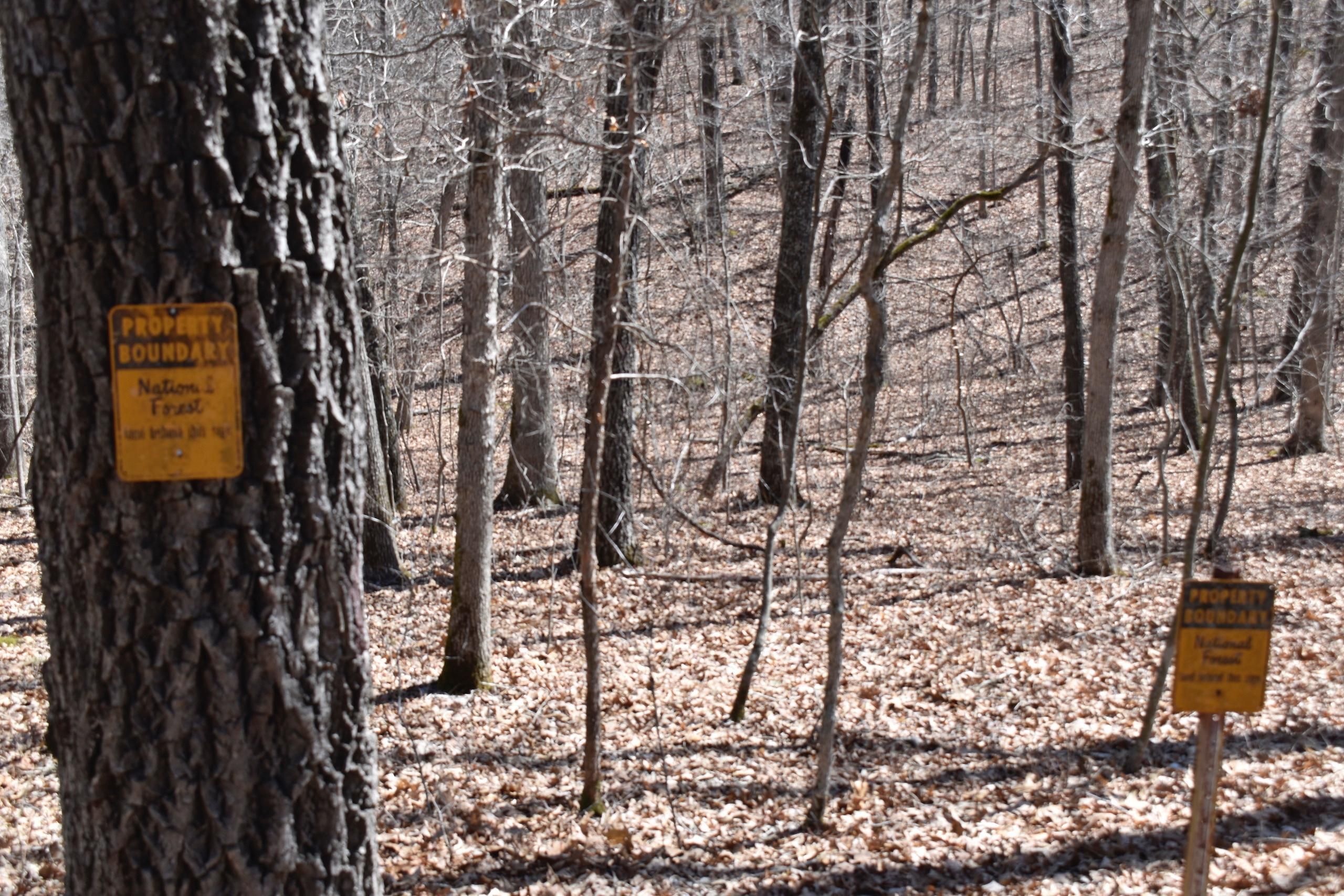 Newburg, Phelps County, MO Recreational Property, Timberland Property