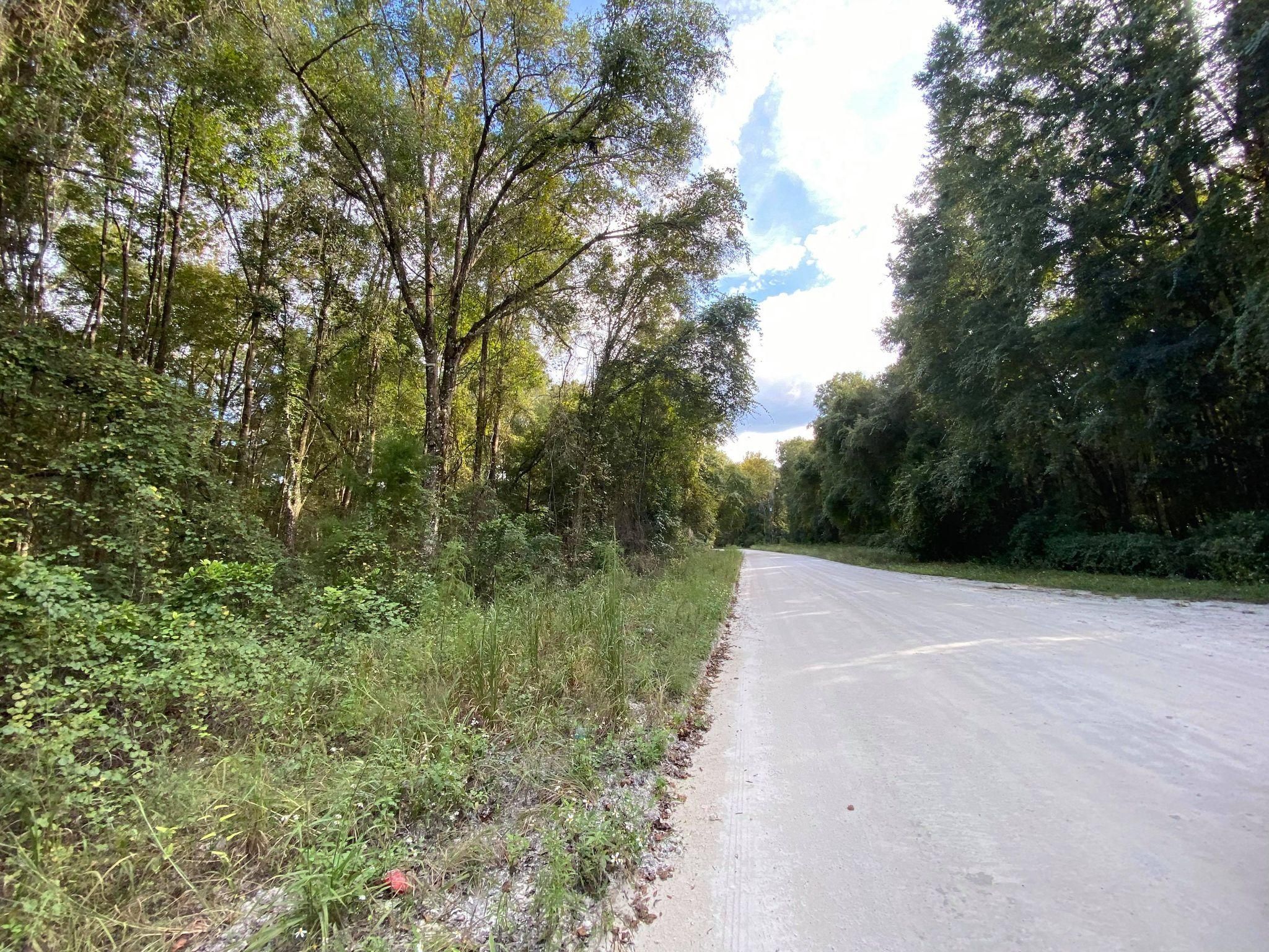 Old Town, Dixie County, FL Homesites for sale Property ID 413253793