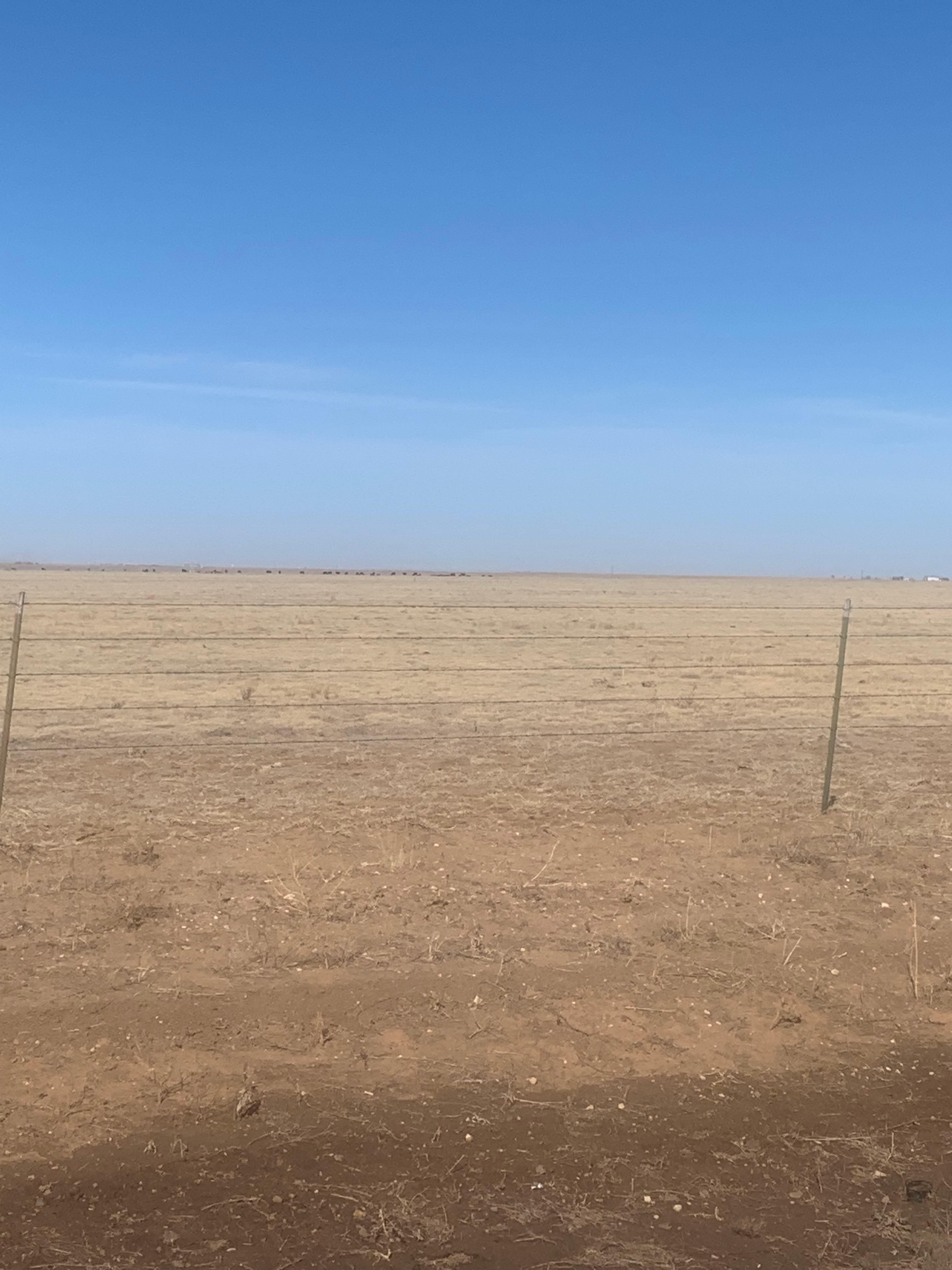 Dumas, Moore County, TX Farms and Ranches, Undeveloped Land for sale Property ID 412723786