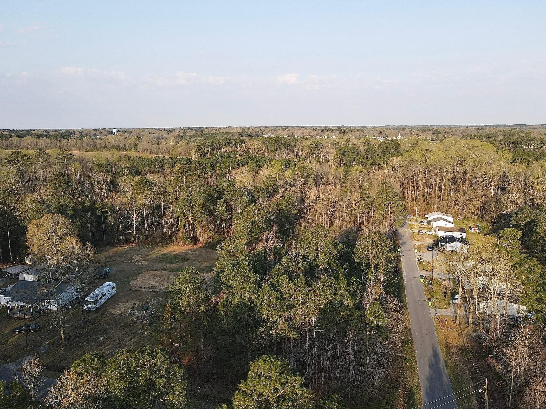 Roanoke Rapids, Halifax County, NC Undeveloped Land, Hunting Property