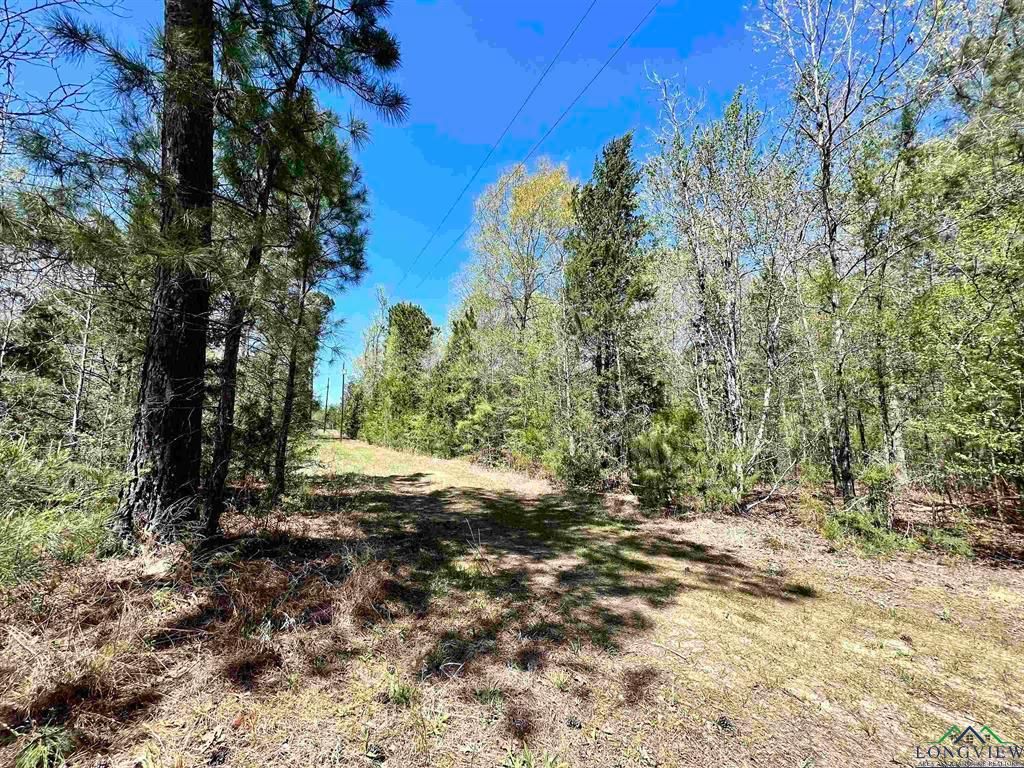 Highway 59, Linden, TX 75563 MLS 2022058 LandWatch