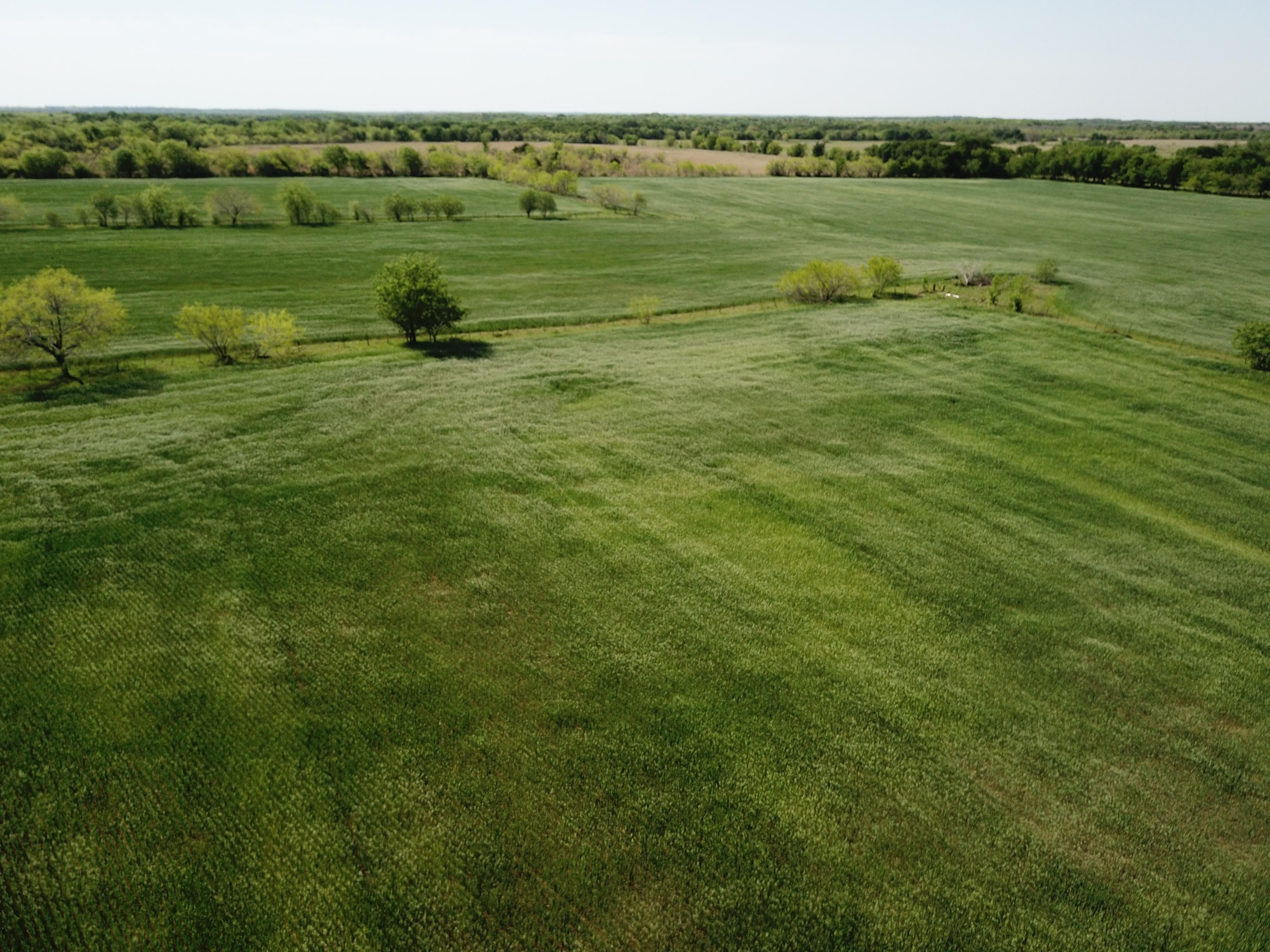 Coolidge, Limestone County, TX Farms and Ranches for sale Property ID